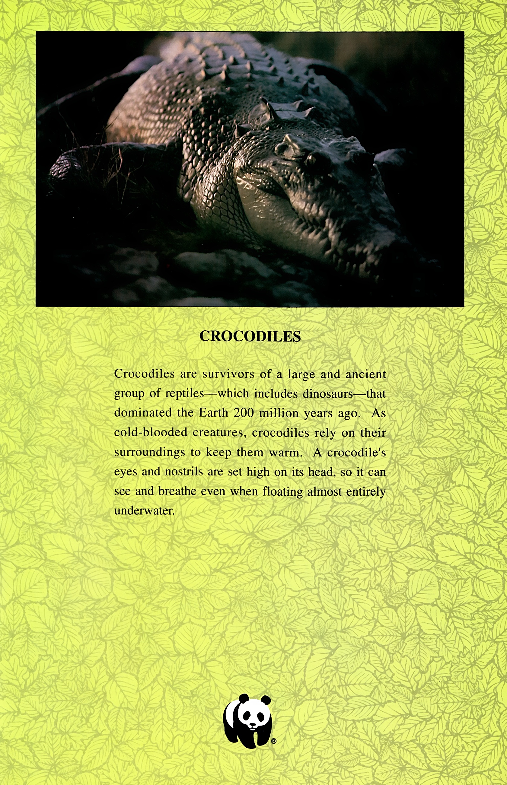 Read online Wolverine: Global Jeopardy comic -  Issue # Full - 15