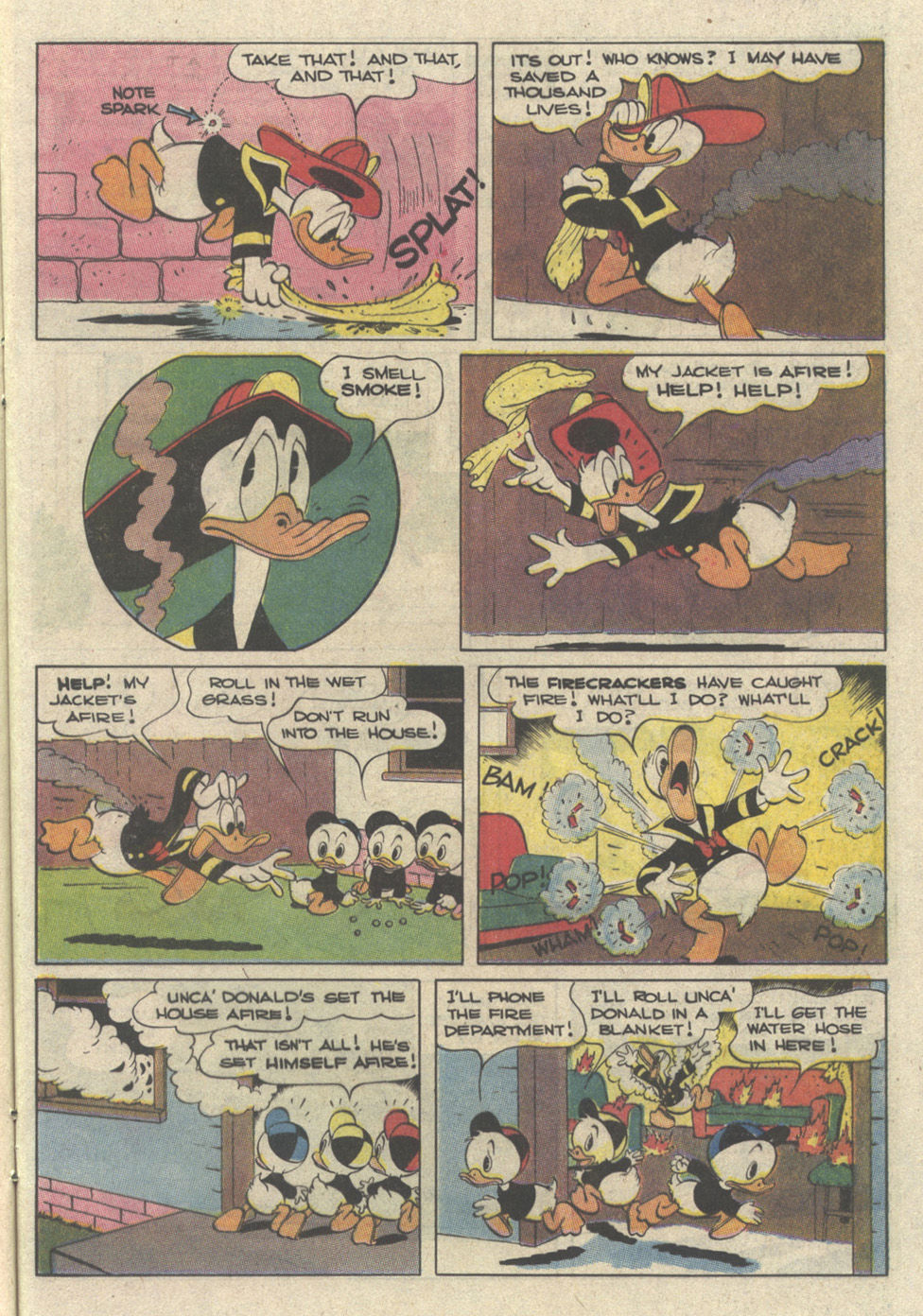 Read online Walt Disney's Donald Duck Adventures (1987) comic -  Issue #10 - 13