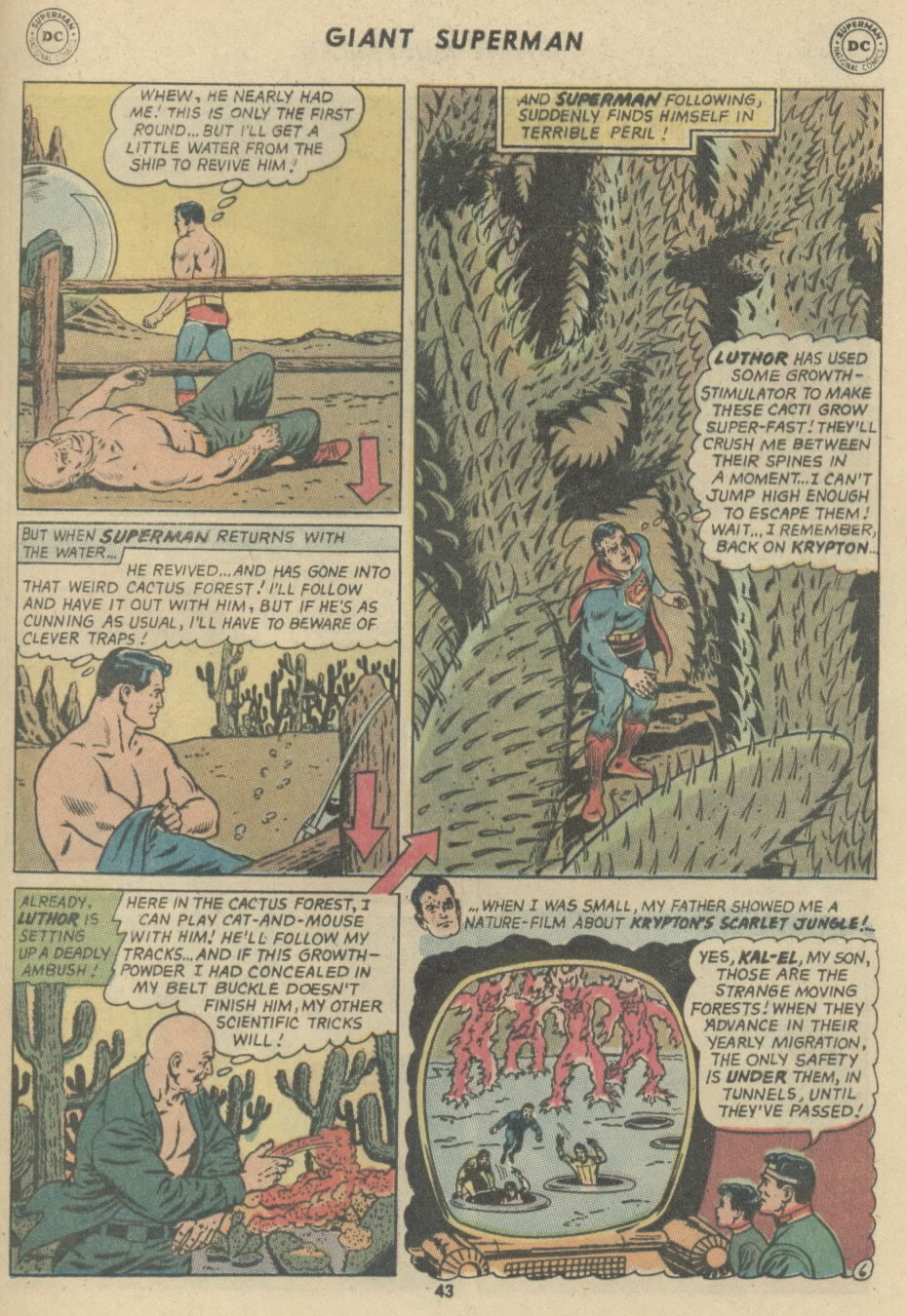 Read online Superman (1939) comic -  Issue #239 - 45