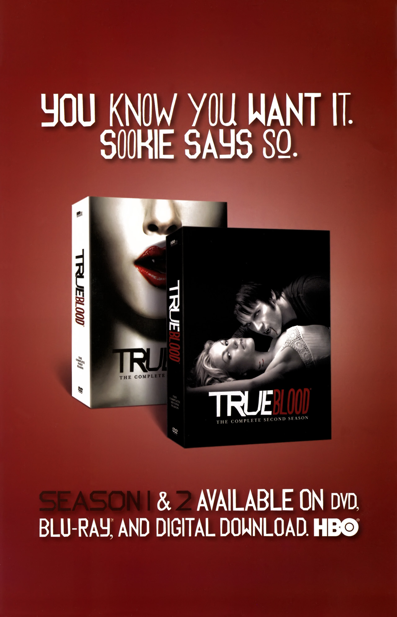 Read online True Blood (2010) comic -  Issue #4 - 32