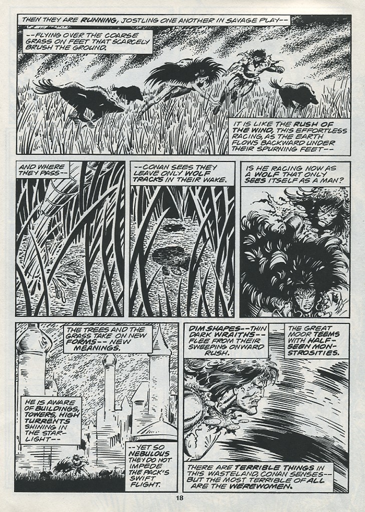The Savage Sword Of Conan issue 221 - Page 20