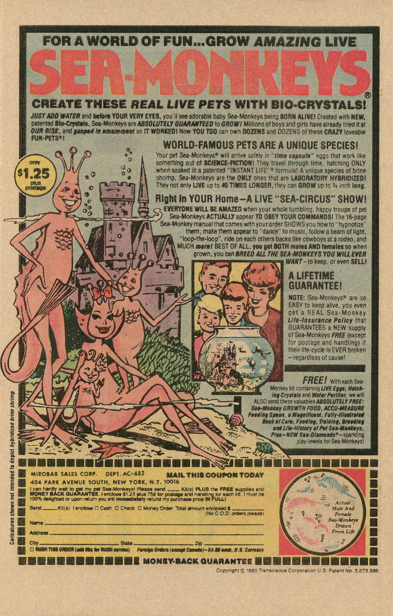 Read online Archie's Pals 'N' Gals (1952) comic -  Issue #159 - 9