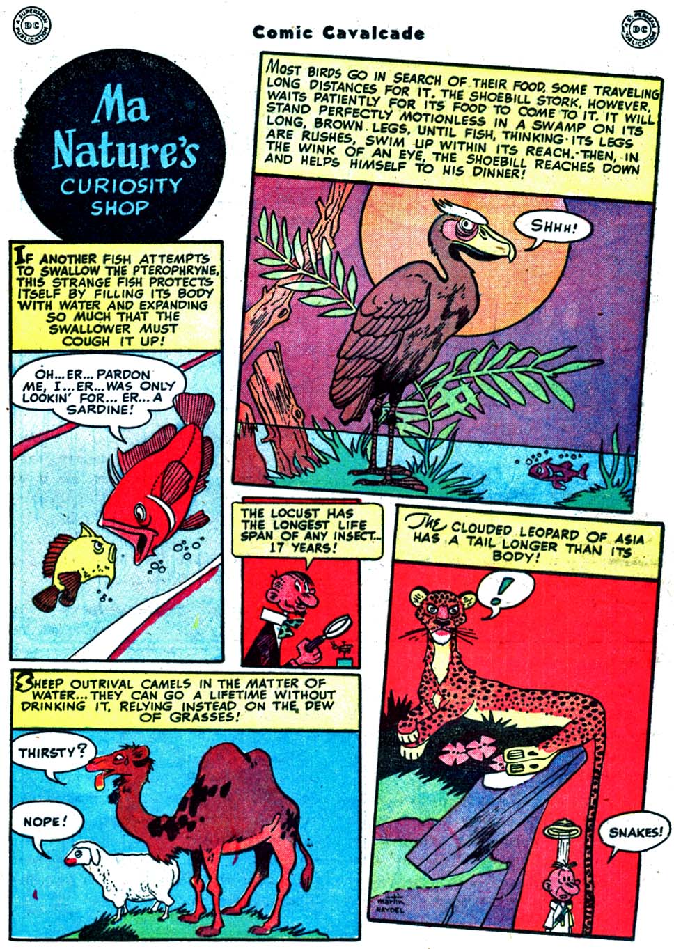 Read online Comic Cavalcade comic -  Issue #32 - 65