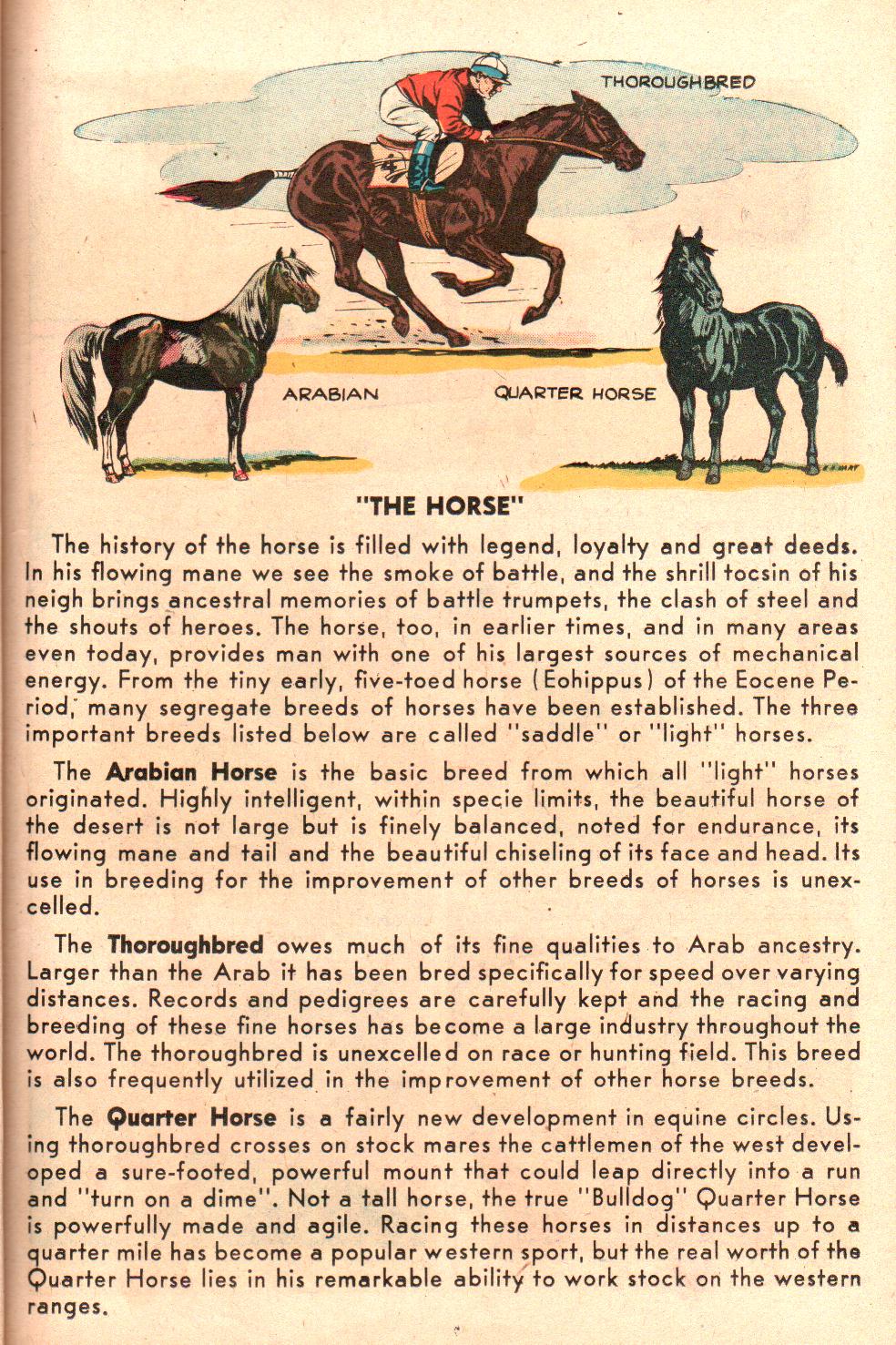 Read online Little Archie (1956) comic -  Issue #7 - 27