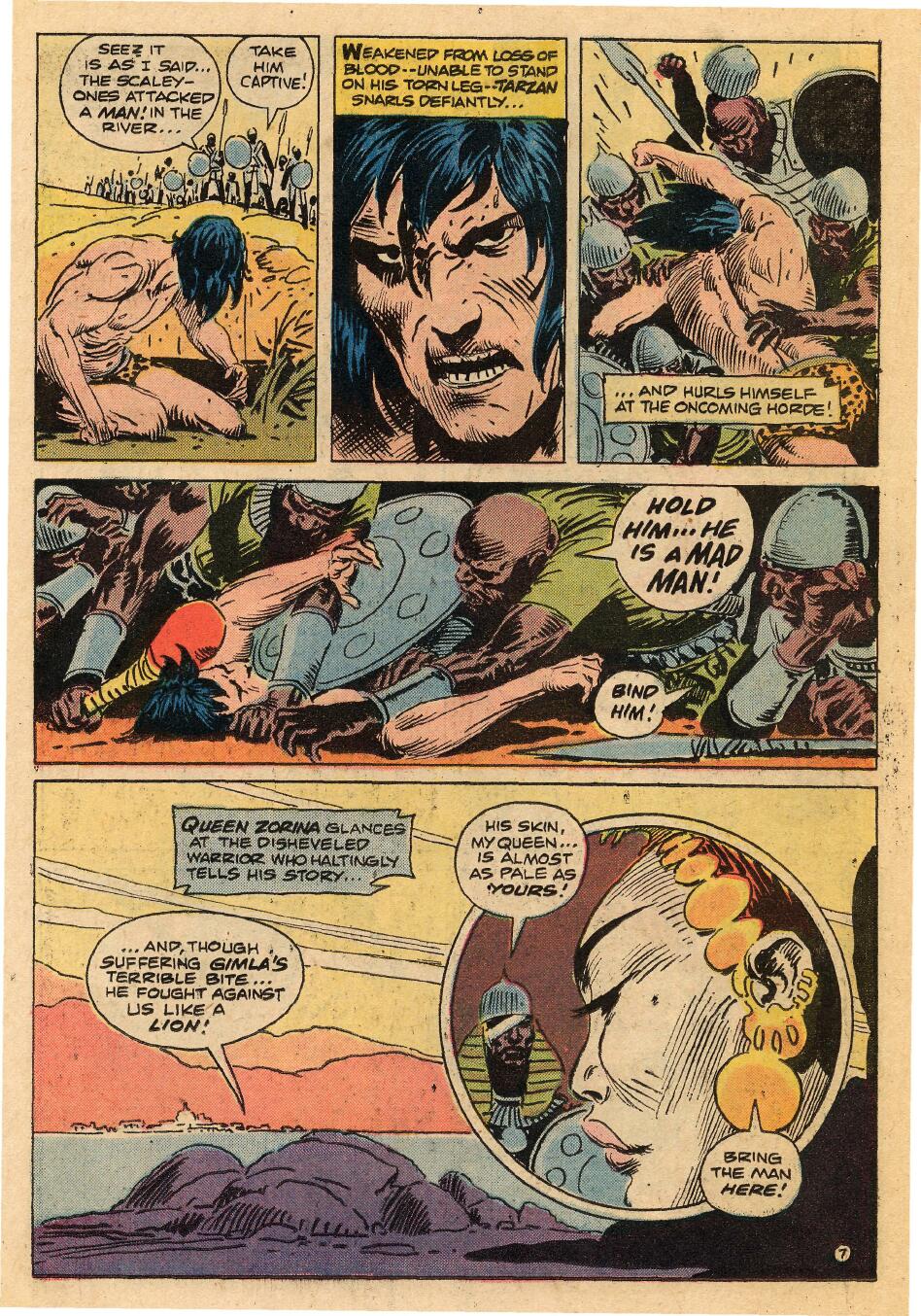 Read online Tarzan (1972) comic -  Issue #229 - 11