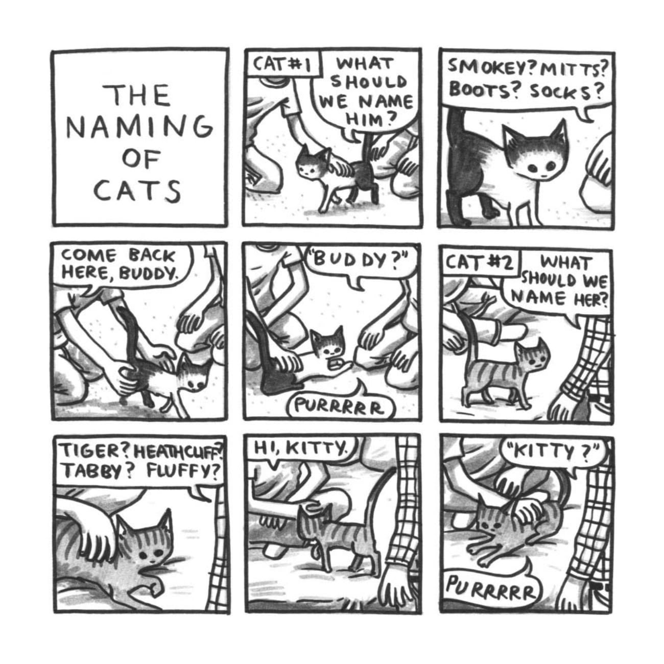 Read online Cats are Weird and More Observations comic -  Issue # TPB - 9