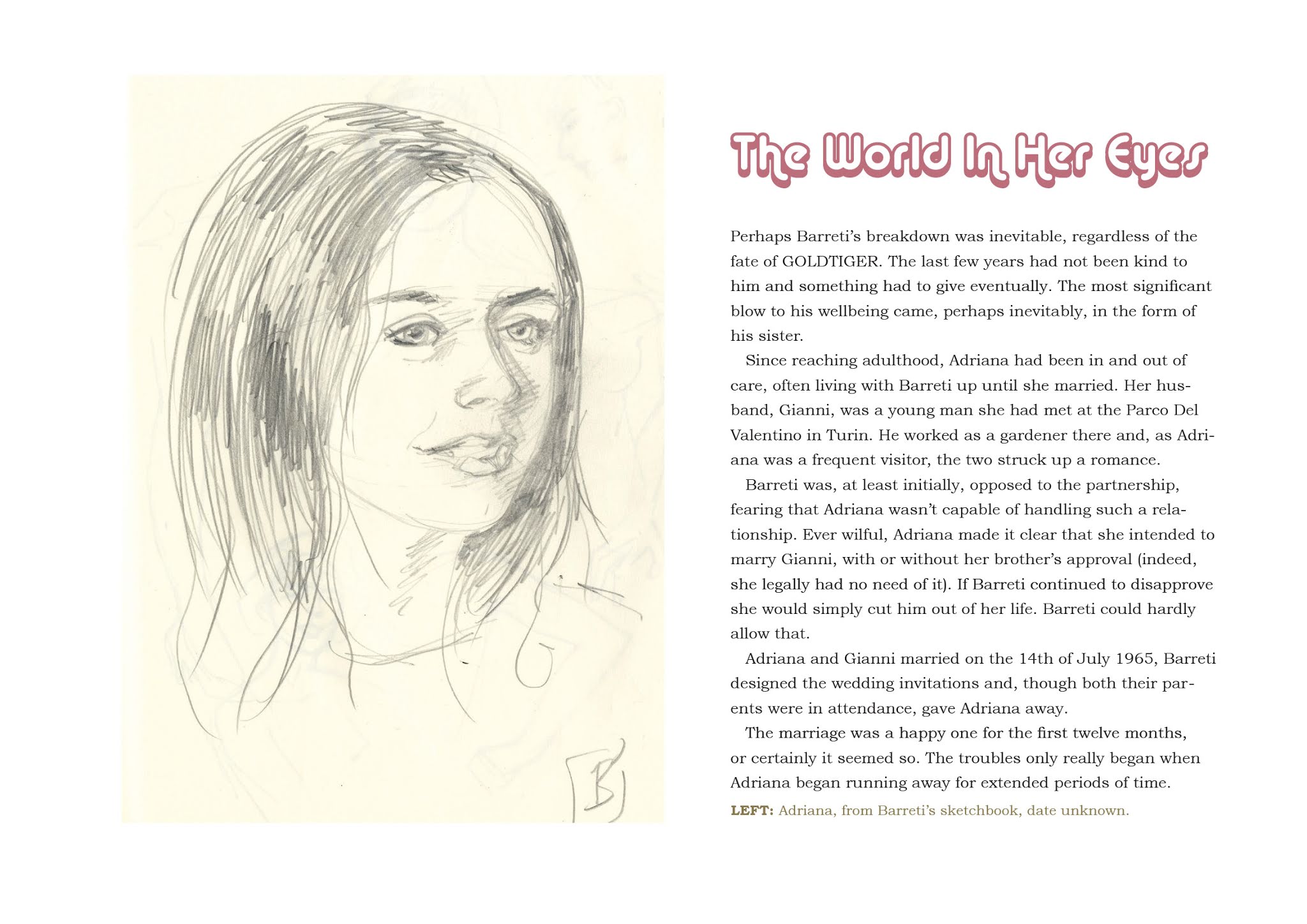 Read online Goldtiger comic -  Issue # TPB - 85