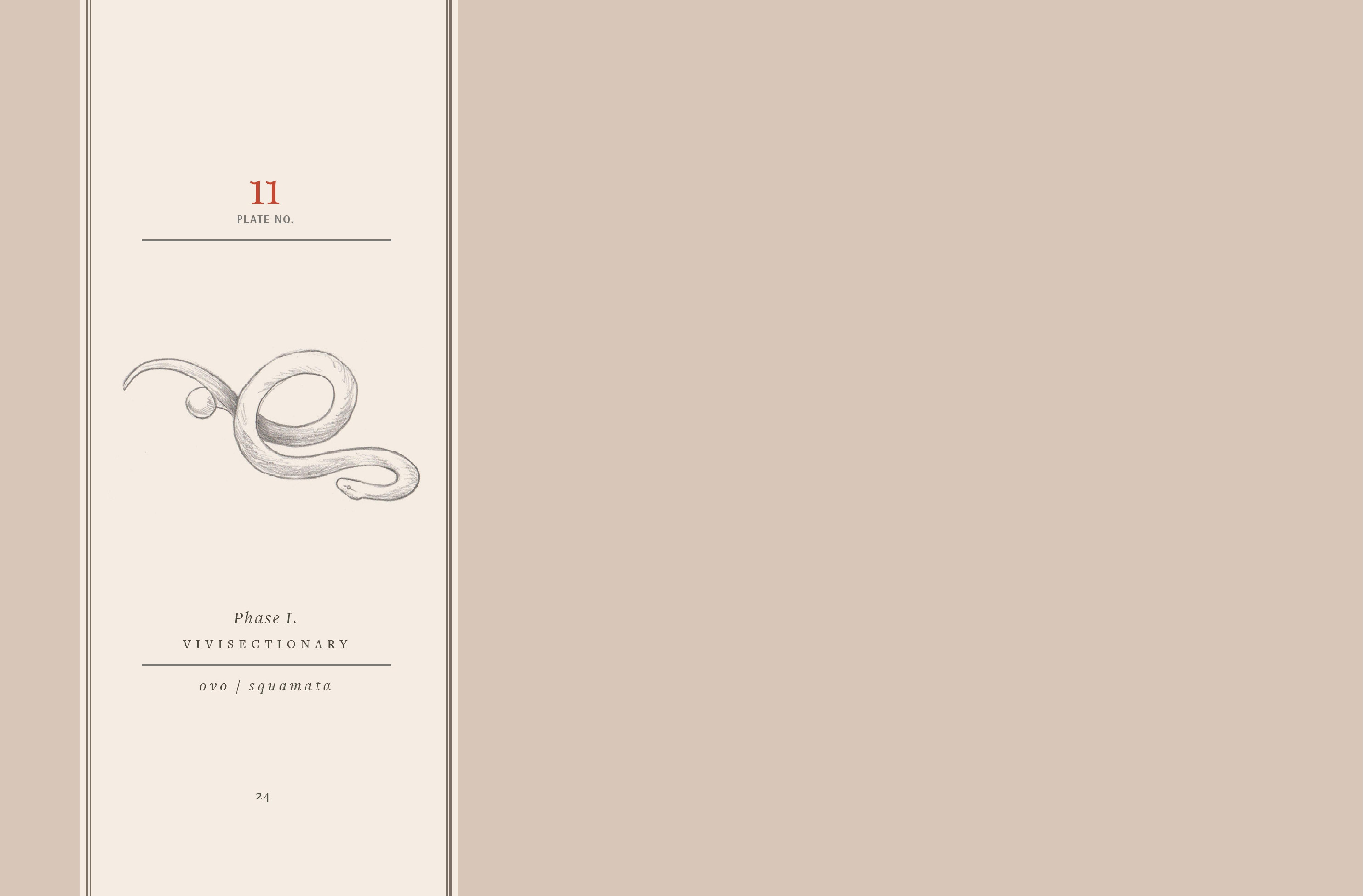 Read online Vivisectionary comic -  Issue # TPB - 25