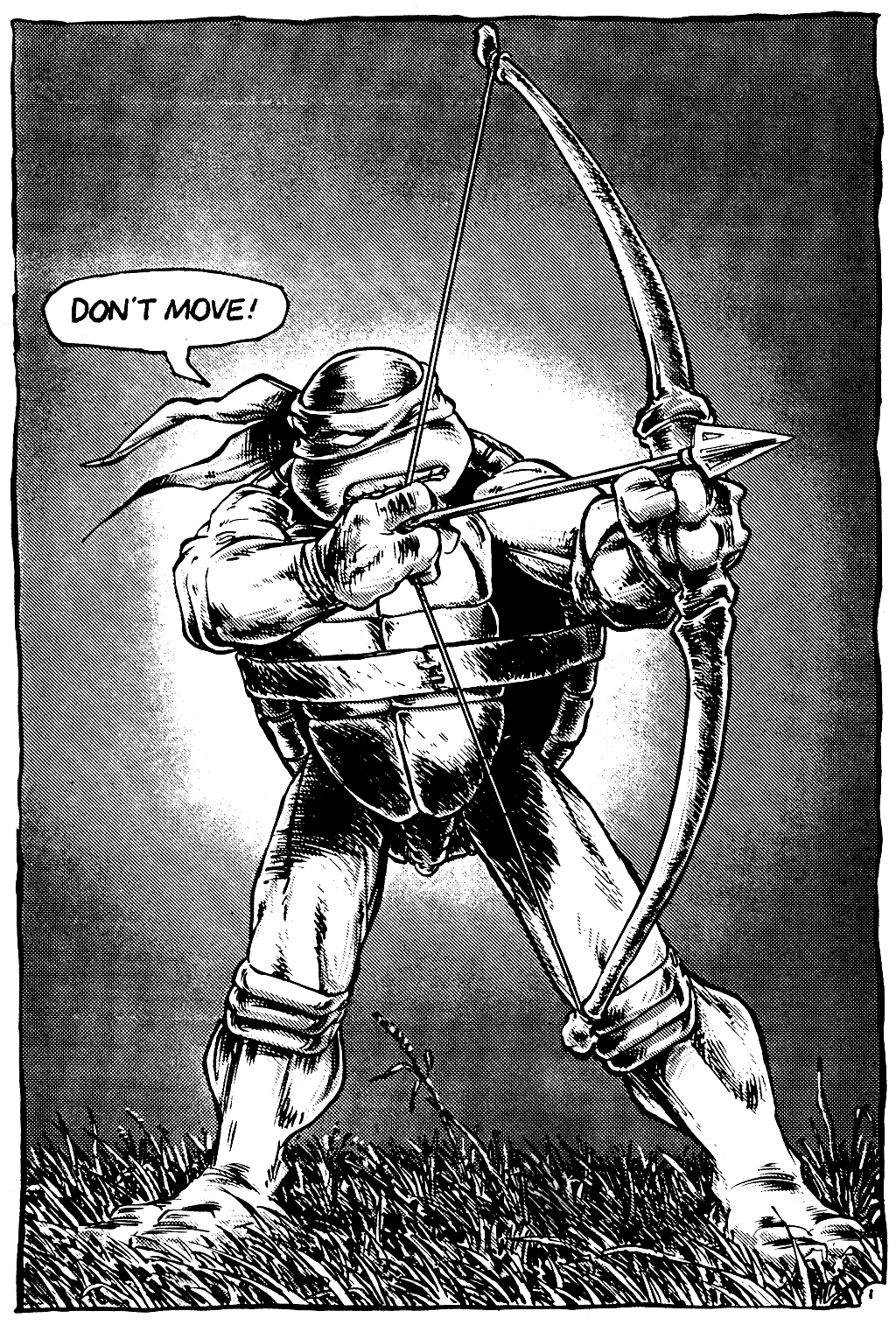 Teenage Mutant Ninja Turtles (1984) Issue #12 #12 - English 3