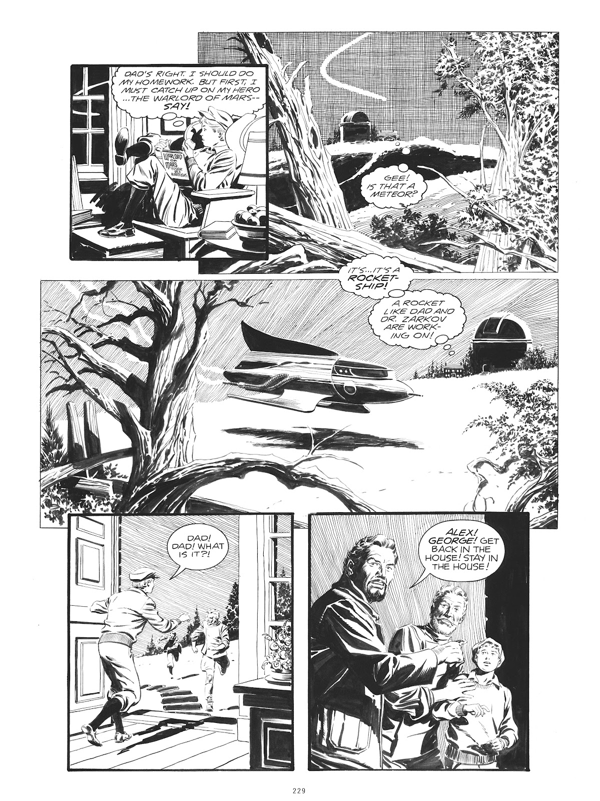 Al Williamson's Flash Gordon, A Lifelong Vision of the Heroic issue TPB (Part 3) - Page 32