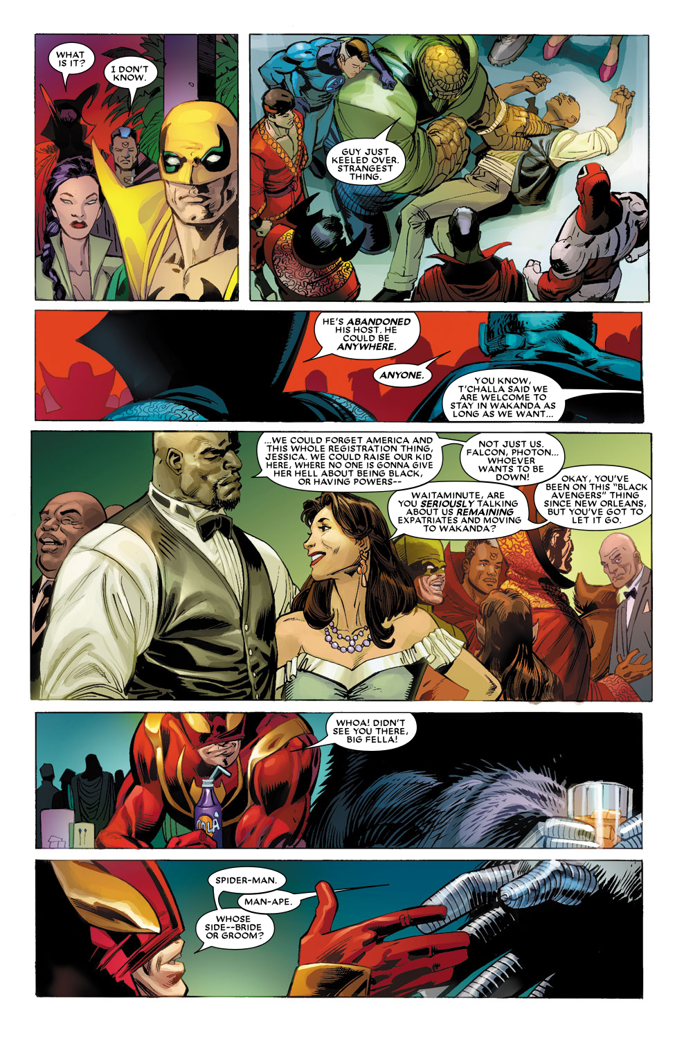 Read online Black Panther (2005) comic -  Issue #18 - 29