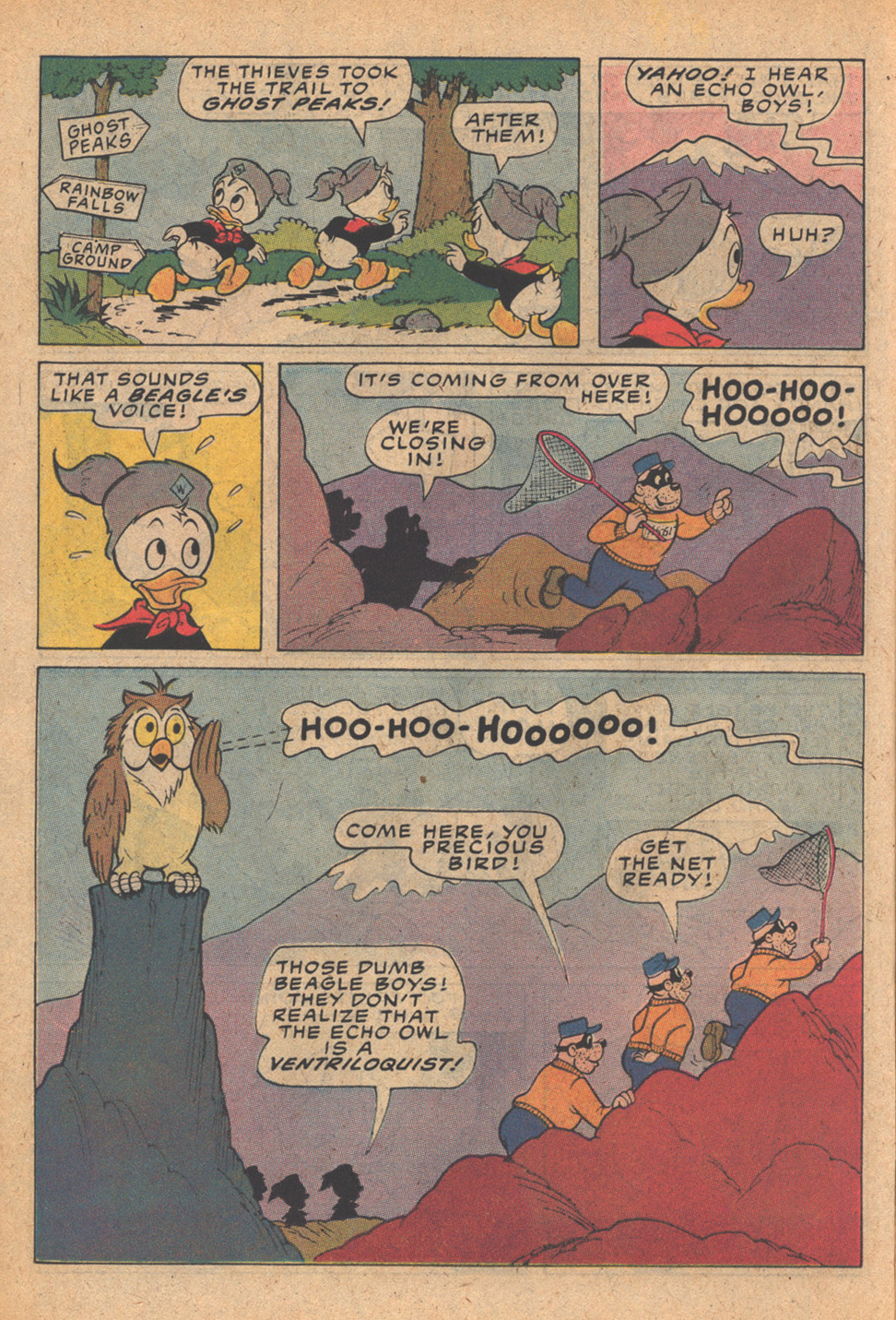 Read online Huey, Dewey, and Louie Junior Woodchucks comic -  Issue #76 - 14