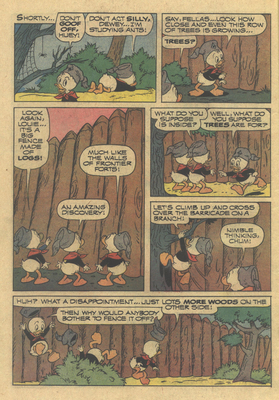 Read online Huey, Dewey, and Louie Junior Woodchucks comic -  Issue #19 - 26