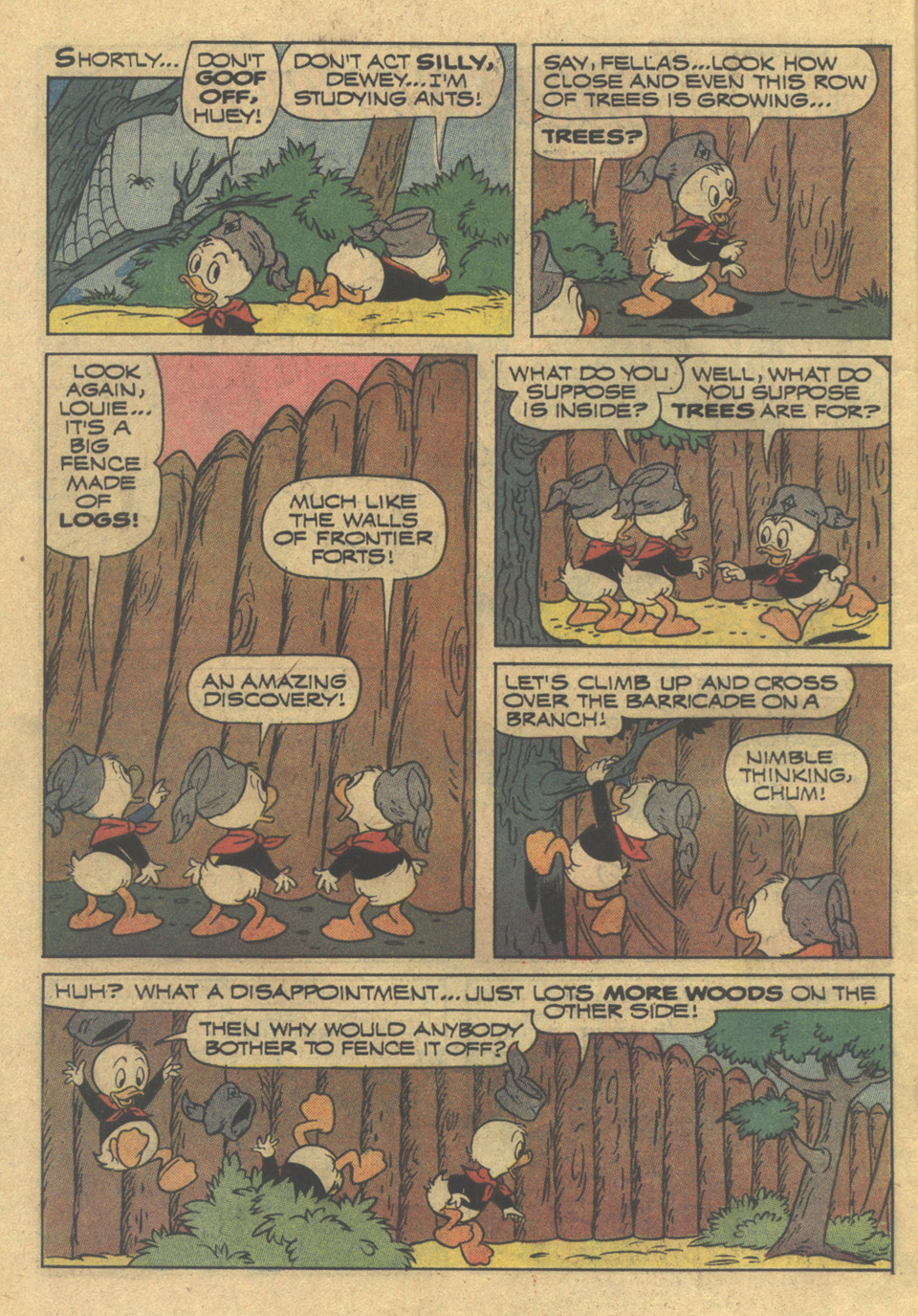 Huey, Dewey, and Louie Junior Woodchucks issue 19 - Page 26
