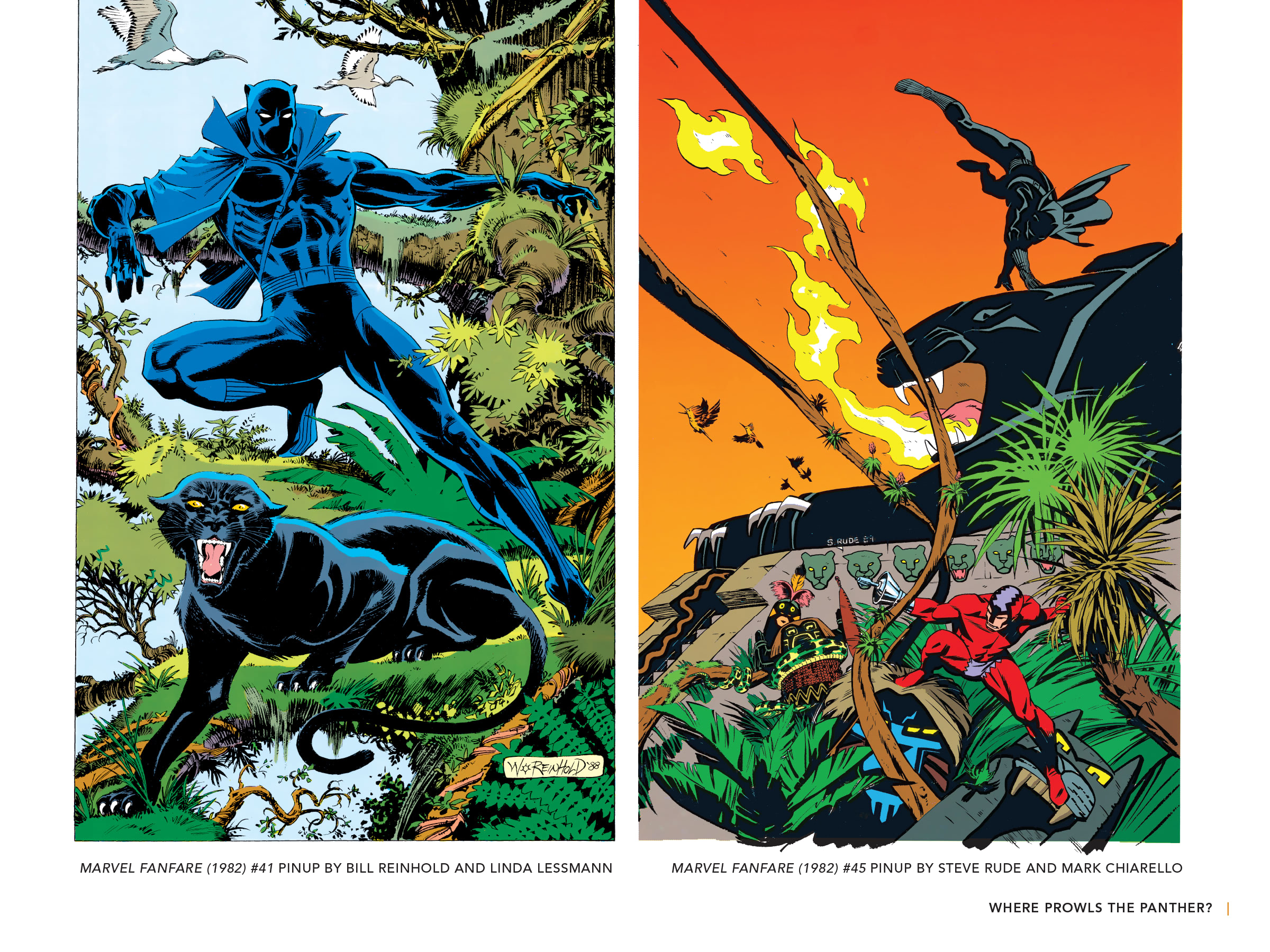 Read online Black Panther: Visions of Wakanda comic -  Issue # TPB (Part 2) - 5