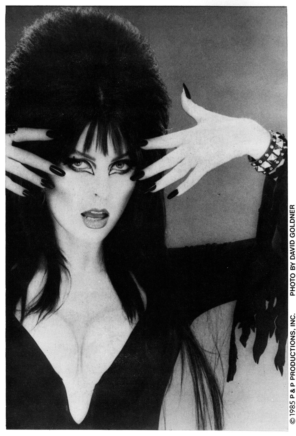 Read online Elvira's House of Mystery comic -  Issue #1 - 2