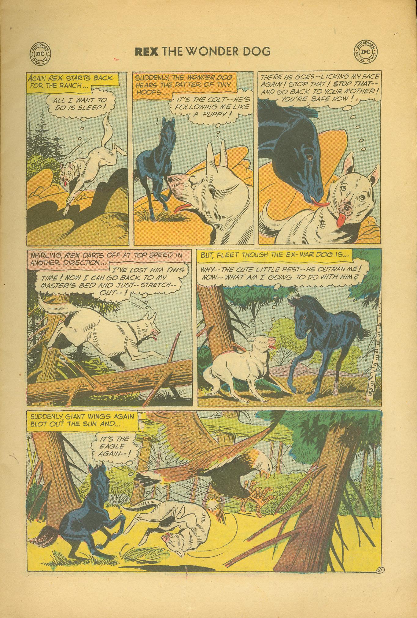 Read online The Adventures of Rex the Wonder Dog comic -  Issue #33 - 11