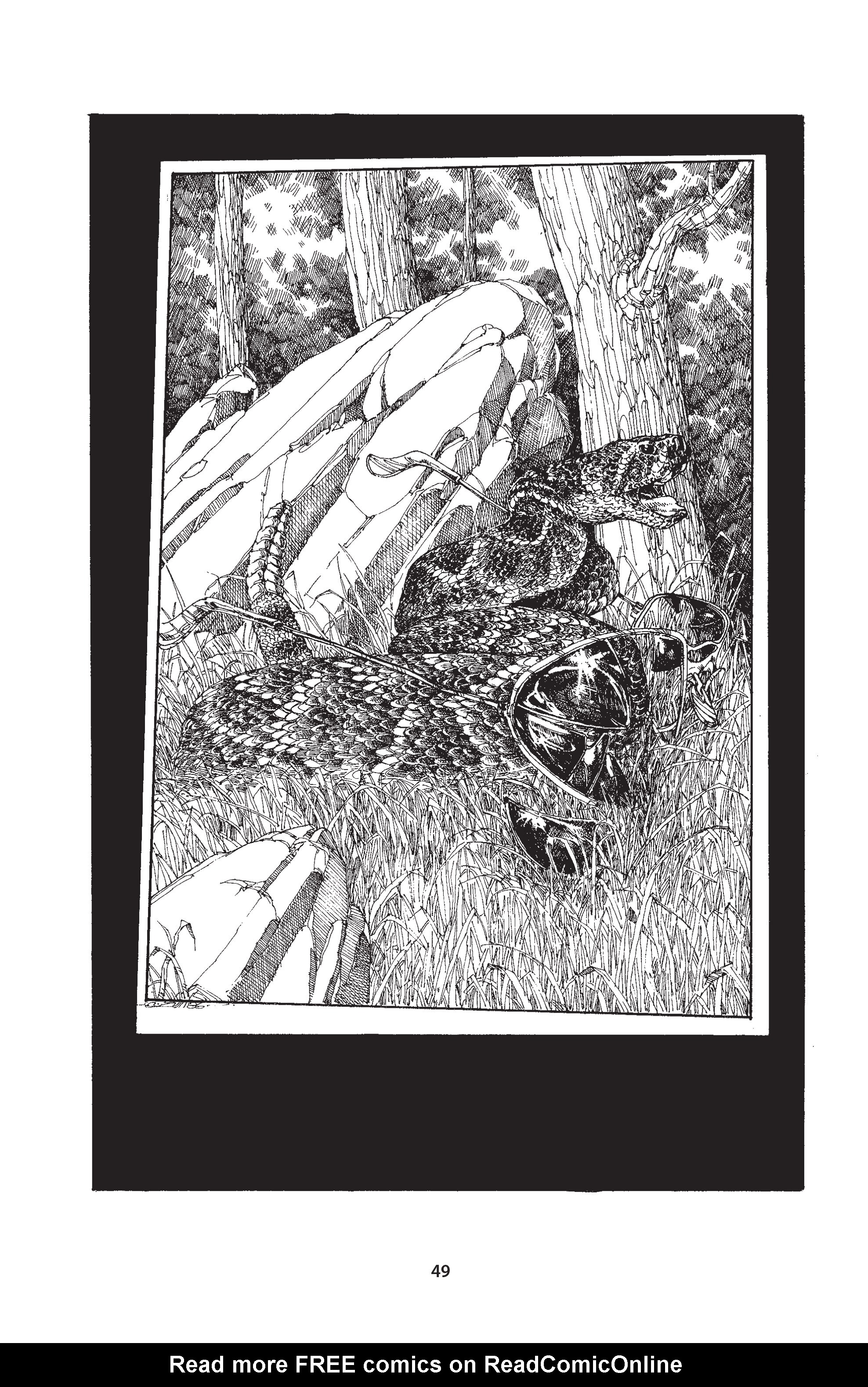 Read online The Puma Blues comic -  Issue # TPB (Part1) - 61