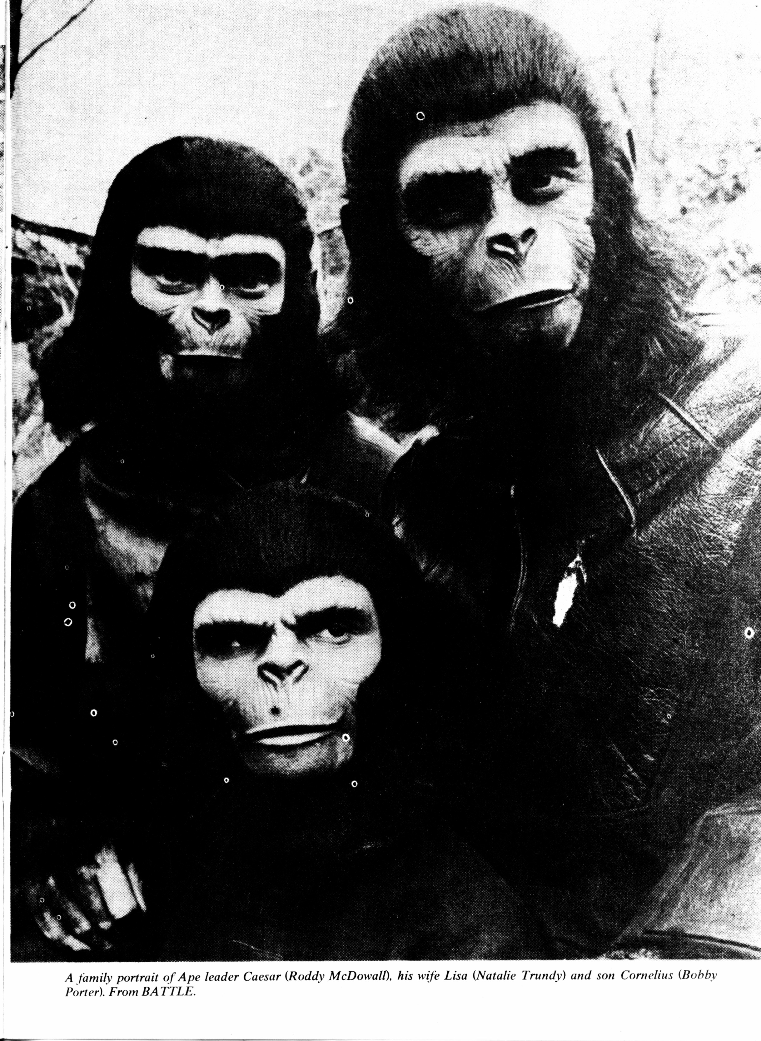 Read online Planet of the Apes (1974) comic -  Issue #19 - 31