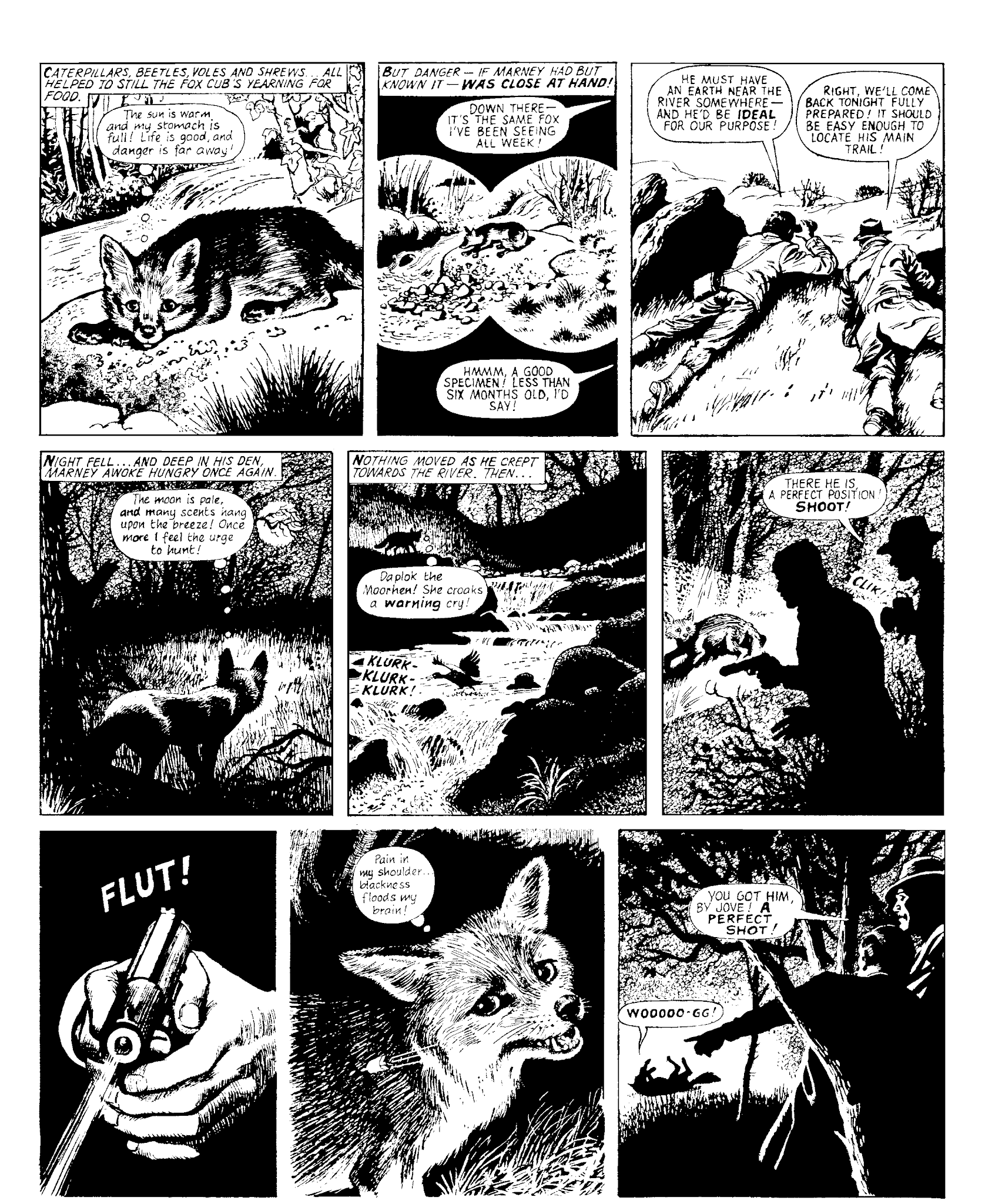 Read online Marney the Fox comic -  Issue # TPB (Part 1) - 68