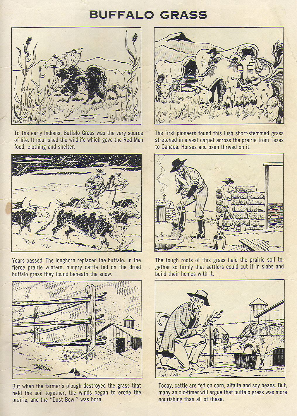 Read online Four Color Comics comic -  Issue #812 - 35