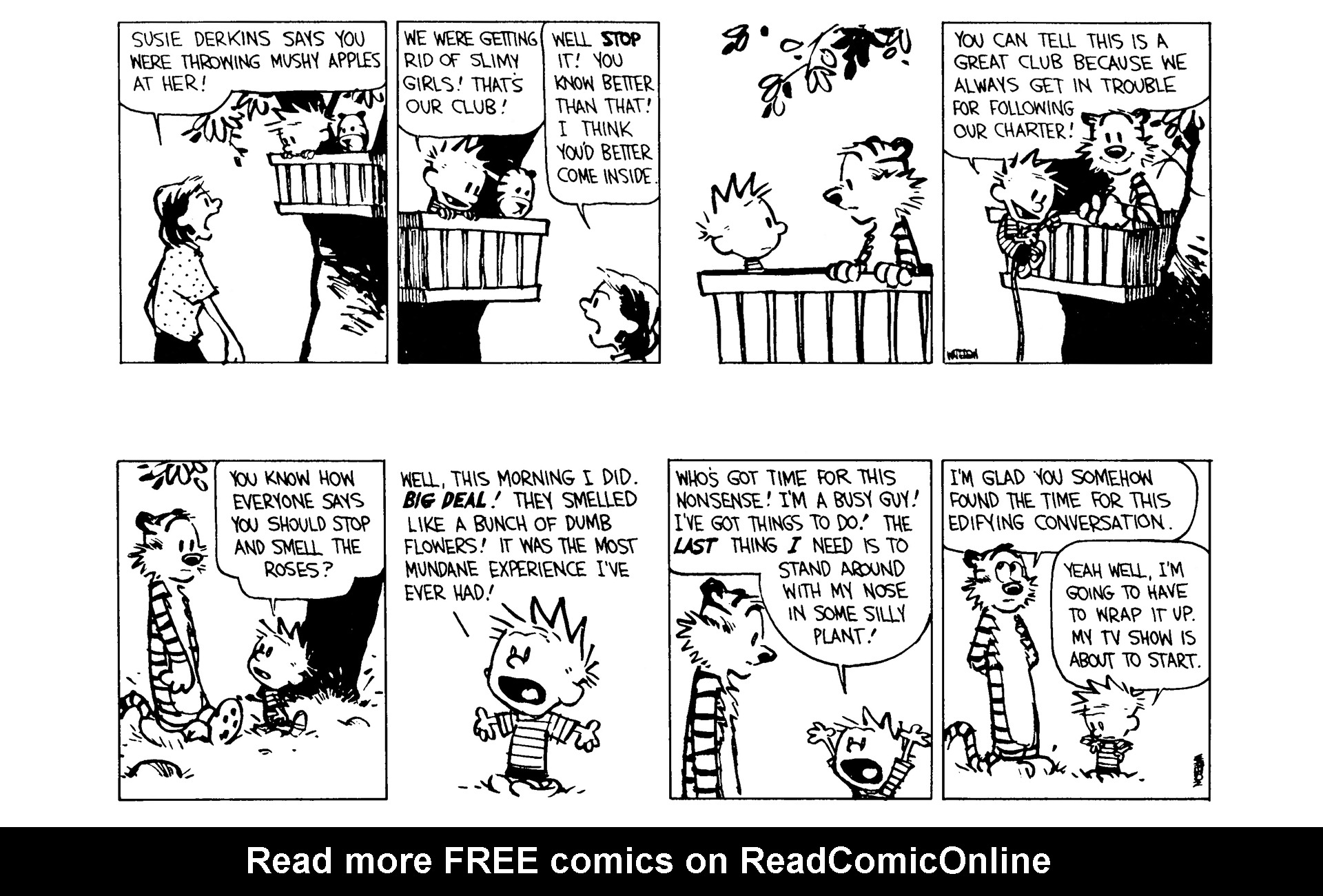 Read online Calvin and Hobbes comic -  Issue #8 - 13