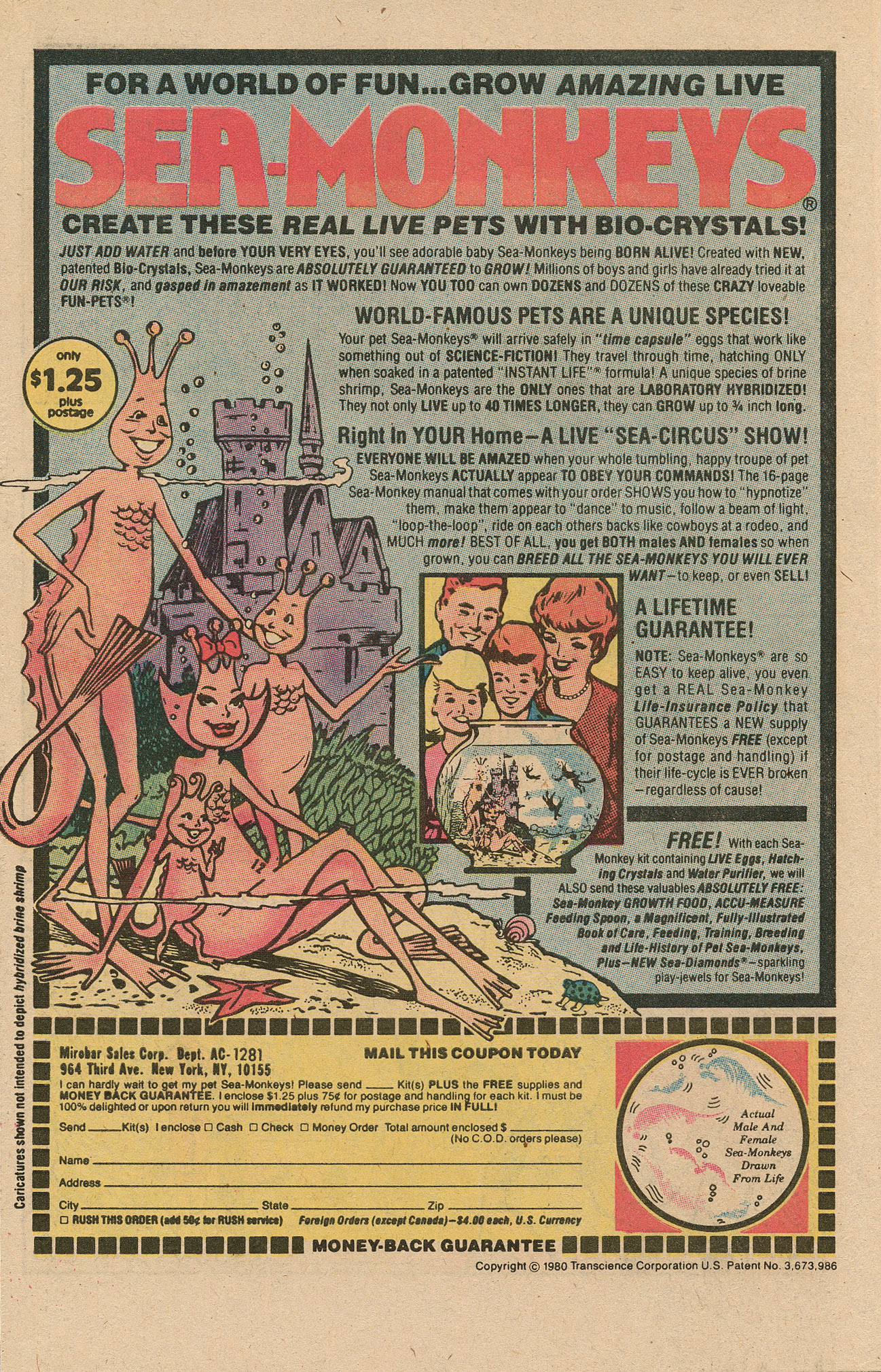 Read online Archie's Pals 'N' Gals (1952) comic -  Issue #156 - 34