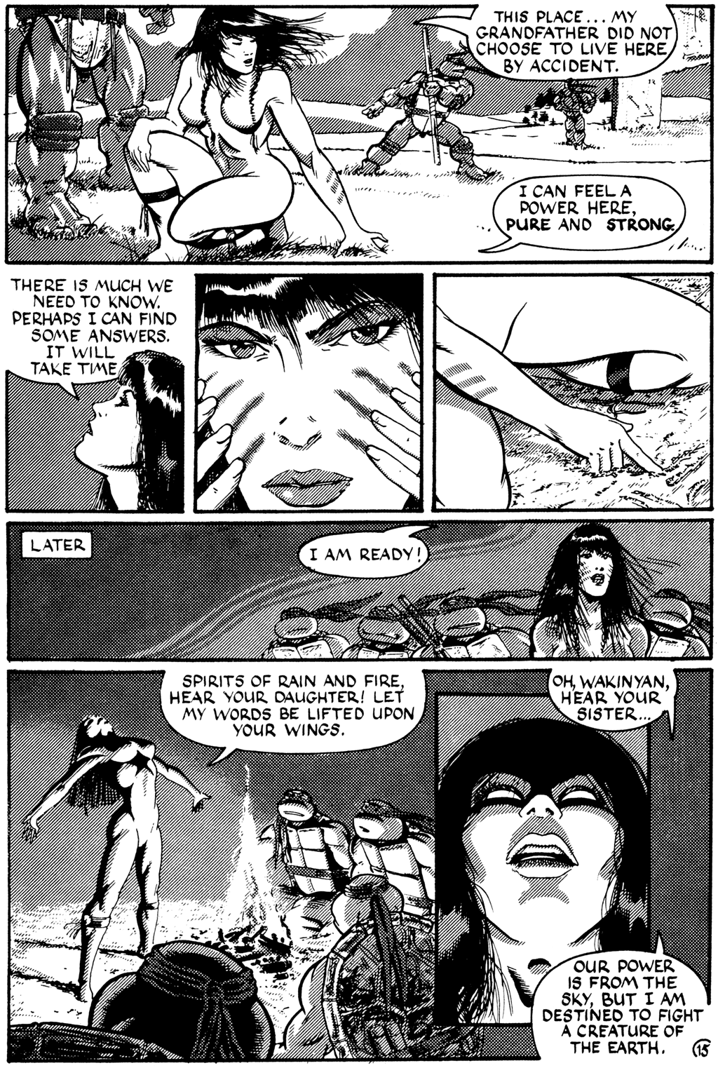 Read online Teenage Mutant Ninja Turtles (1984) comic -  Issue #27 - 15