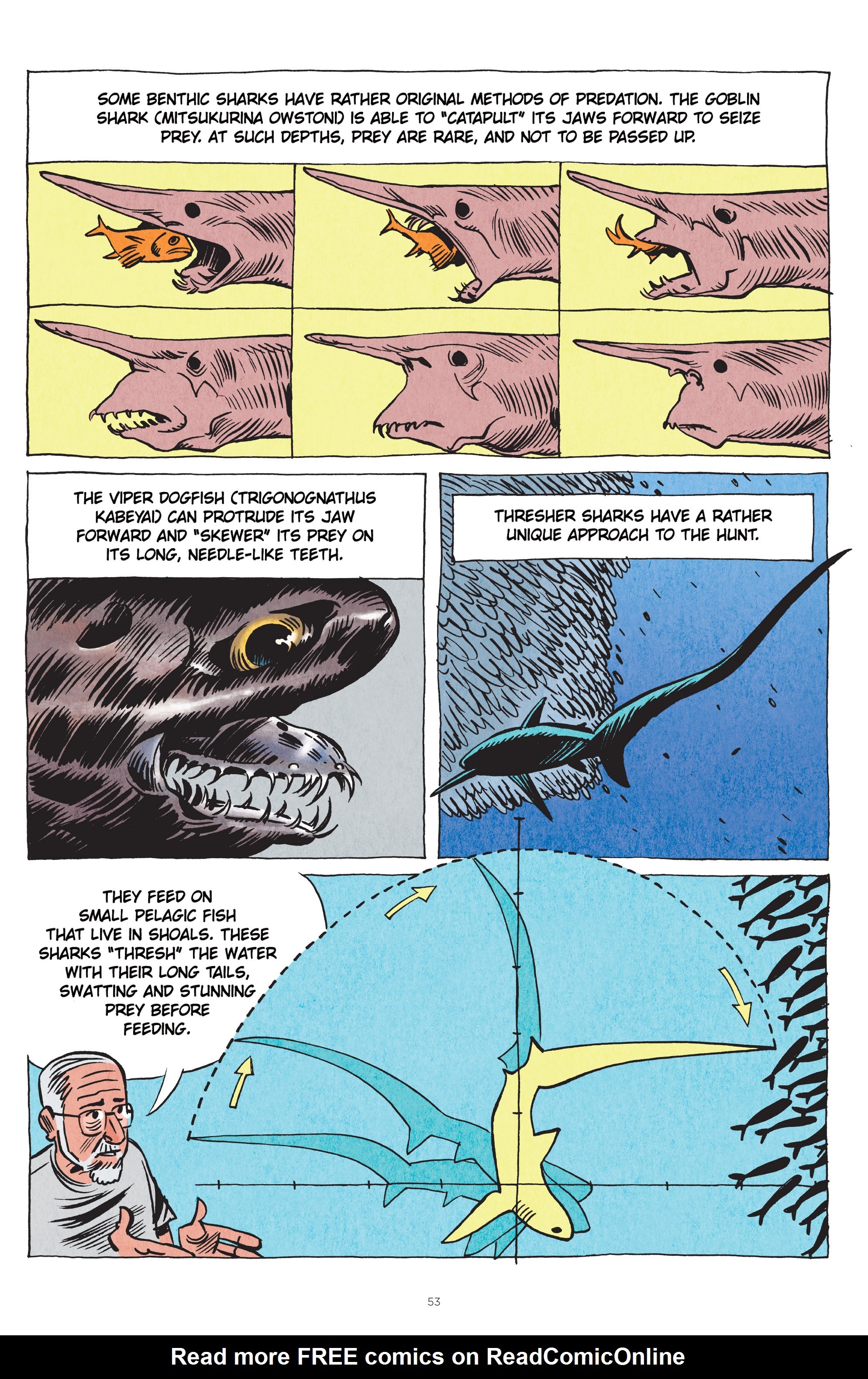 Read online Little Book of Knowledge: Sharks comic -  Issue # TPB - 53