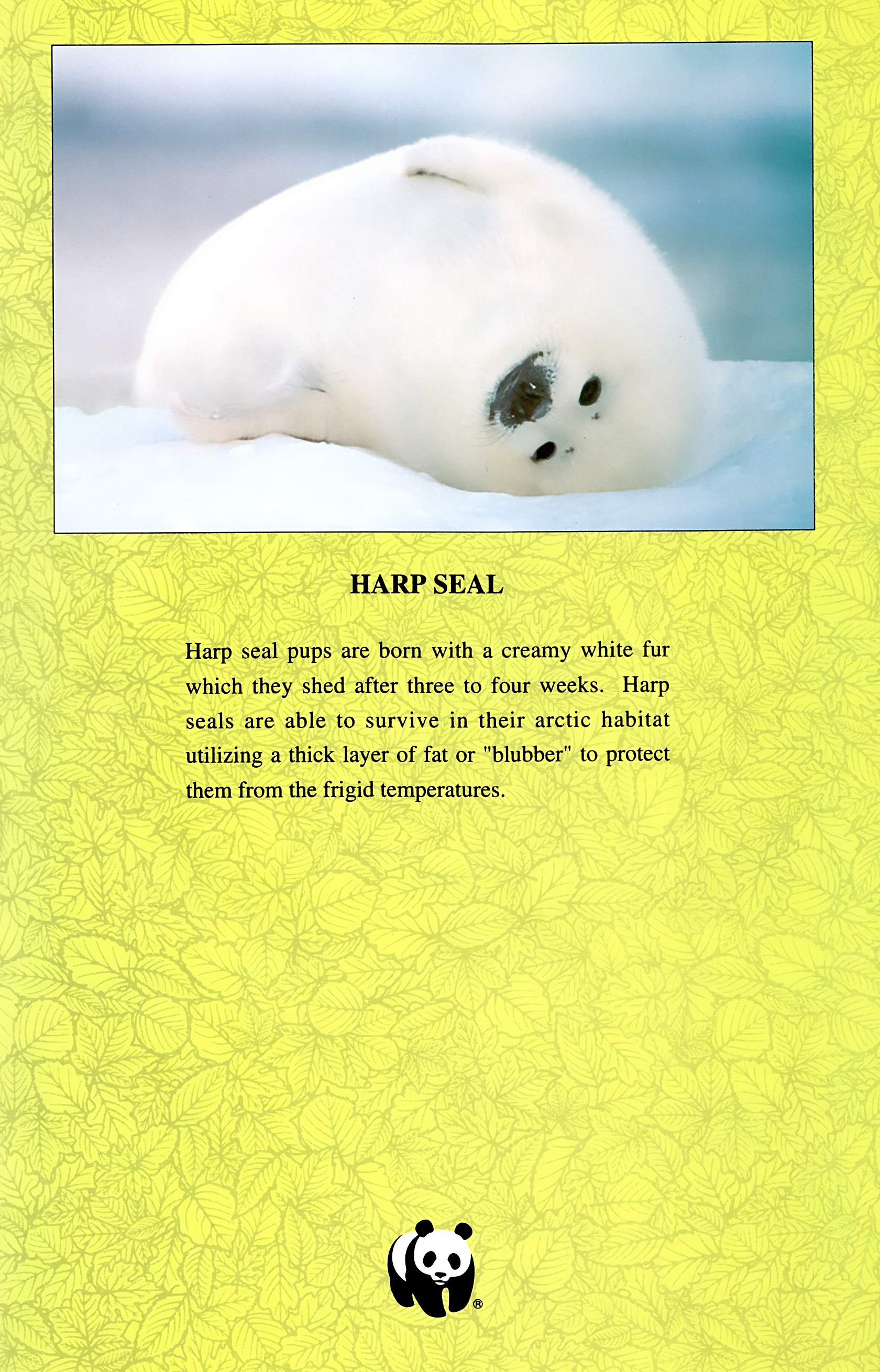 Read online Wolverine: Global Jeopardy comic -  Issue # Full - 9