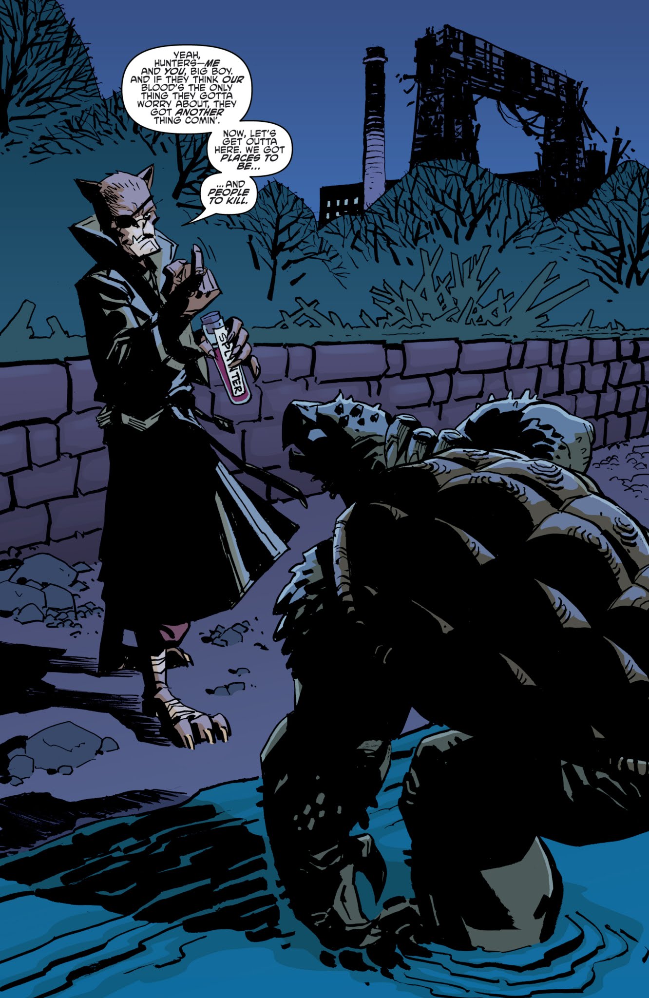 Read online Teenage Mutant Ninja Turtles: The IDW Collection comic -  Issue # TPB 2 (Part 2) - 49