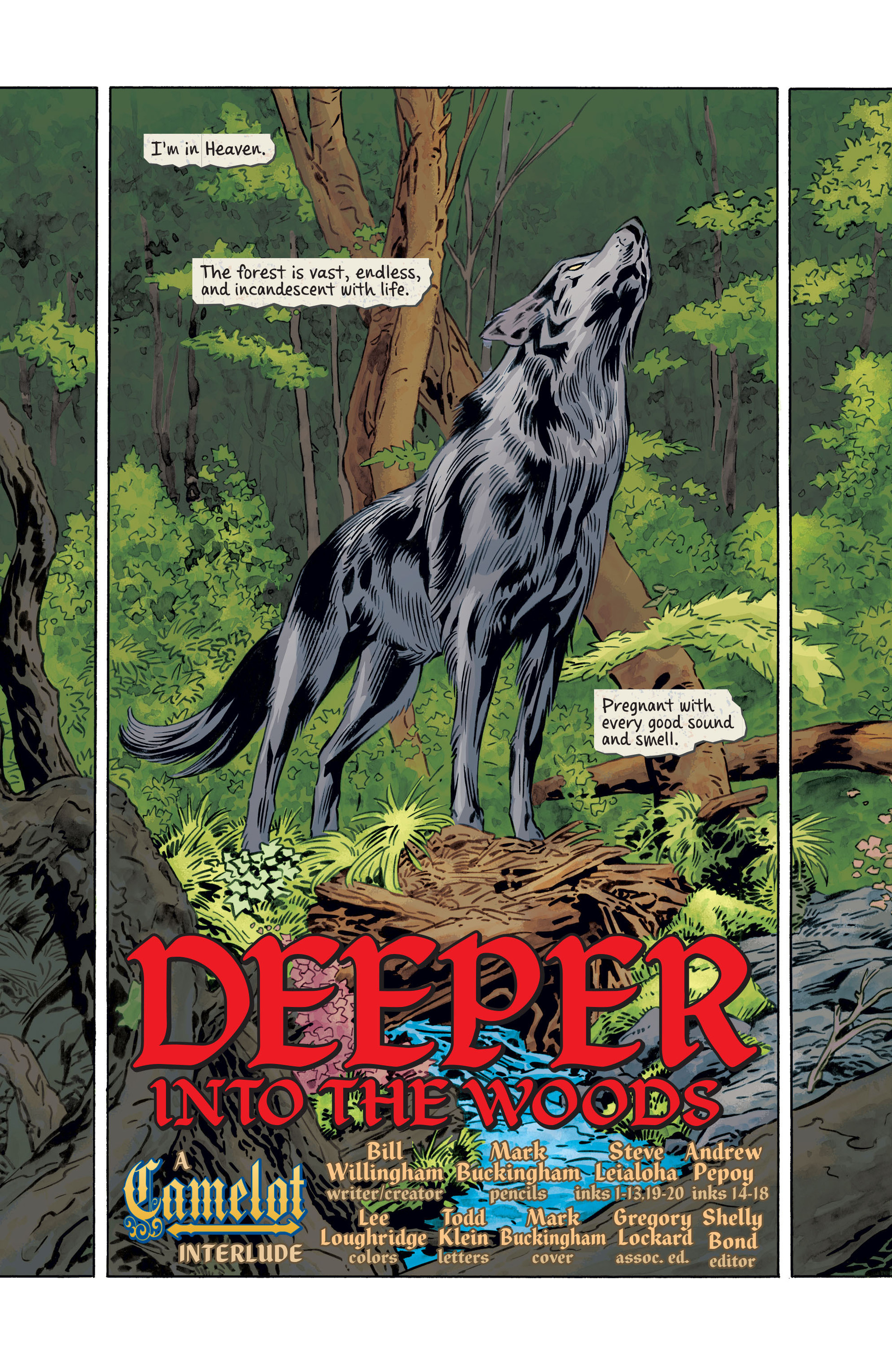 Read online Fables comic -  Issue #134 - 2