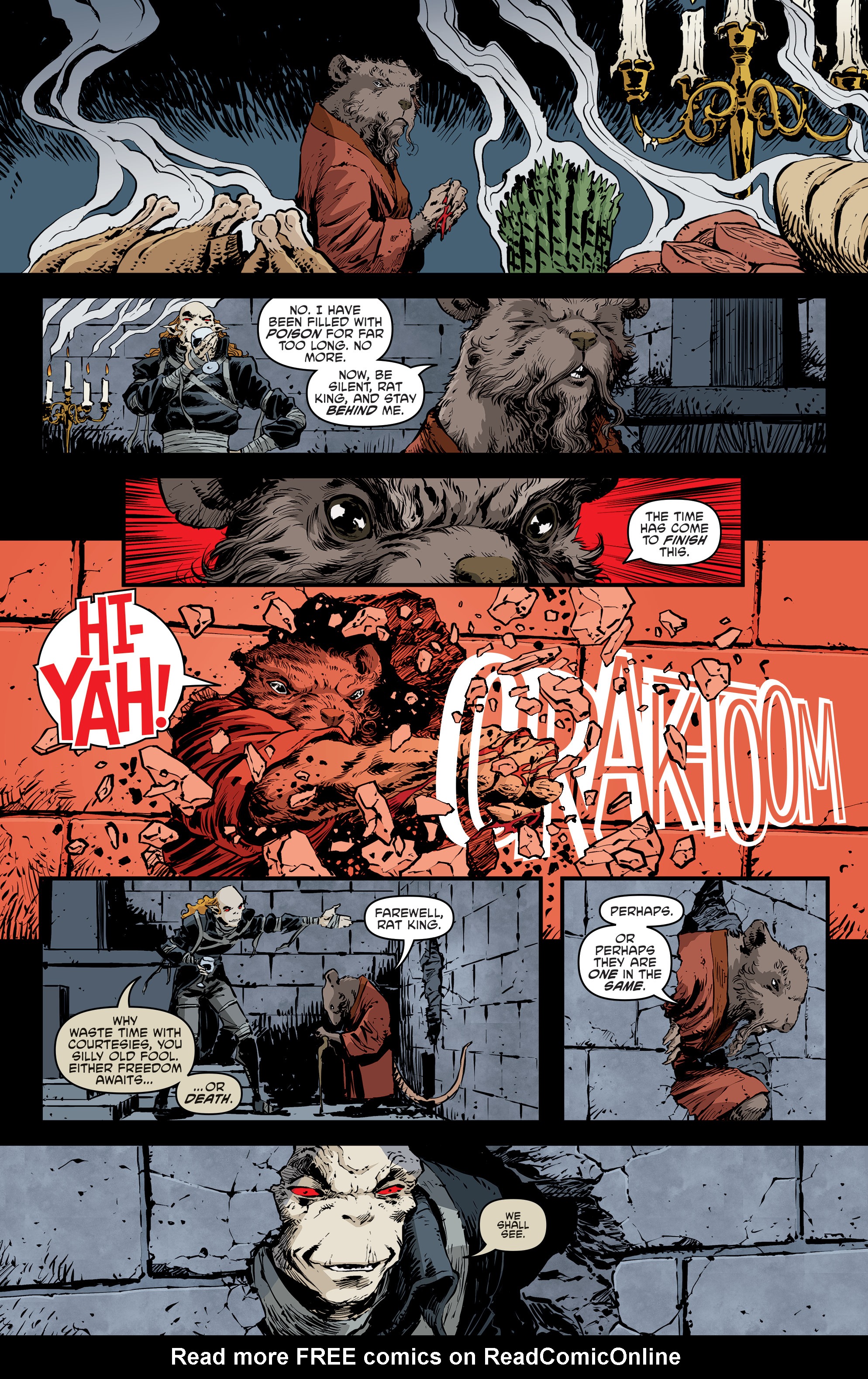 Read online Teenage Mutant Ninja Turtles (2011) comic -  Issue #99 - 27