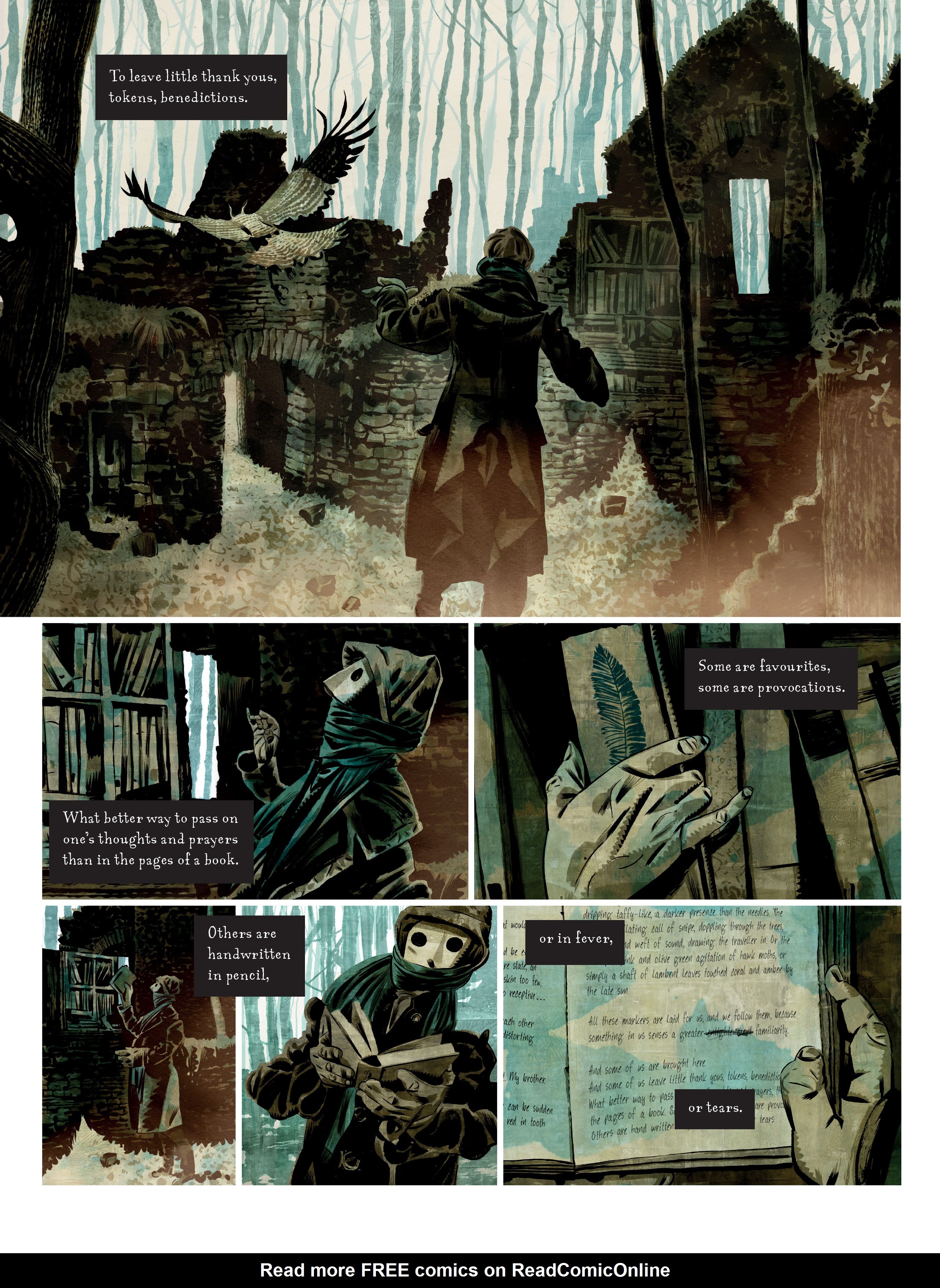 Read online Raptor: A Sokol Graphic Novel comic -  Issue # TPB - 39