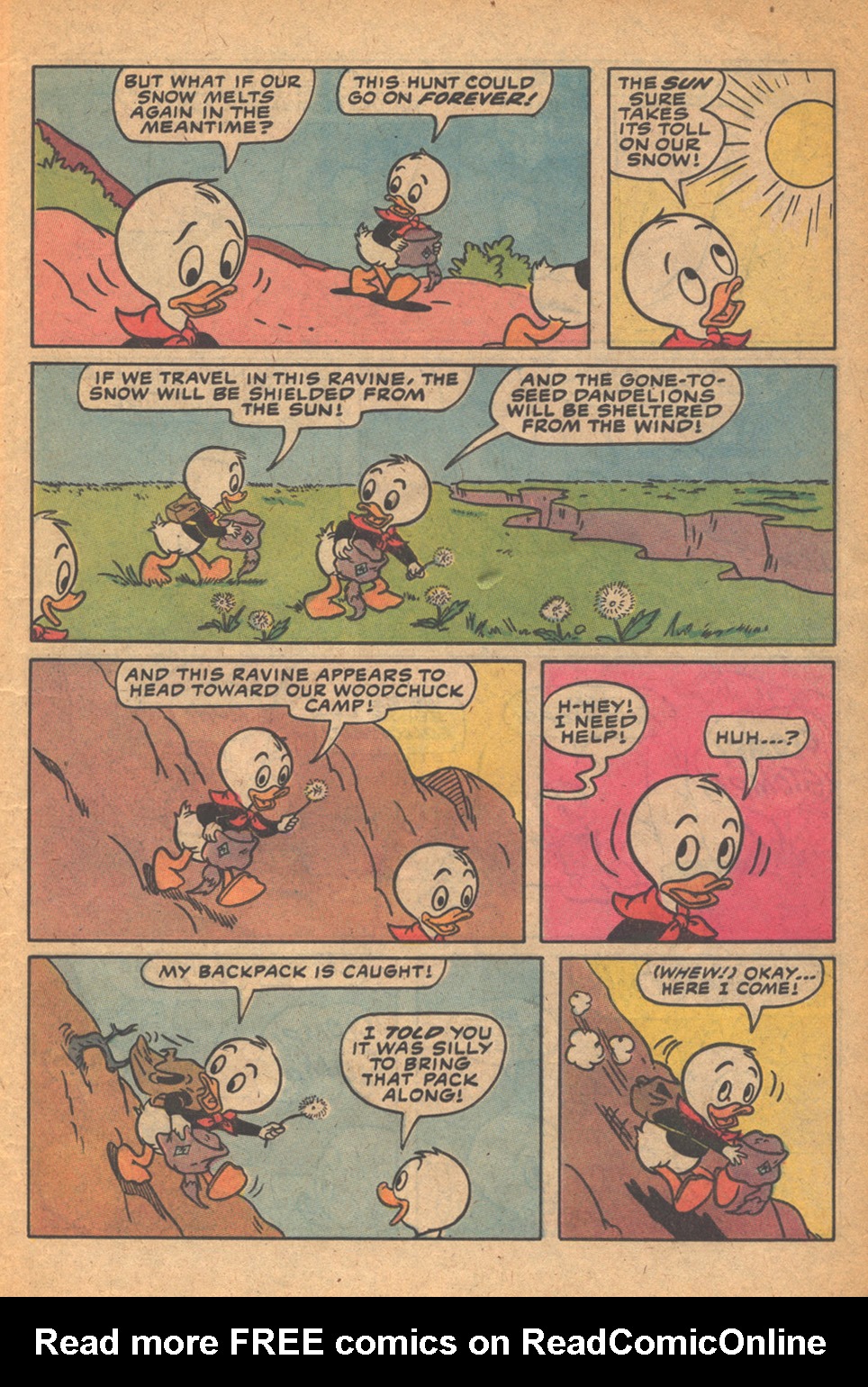 Read online Huey, Dewey, and Louie Junior Woodchucks comic -  Issue #77 - 5