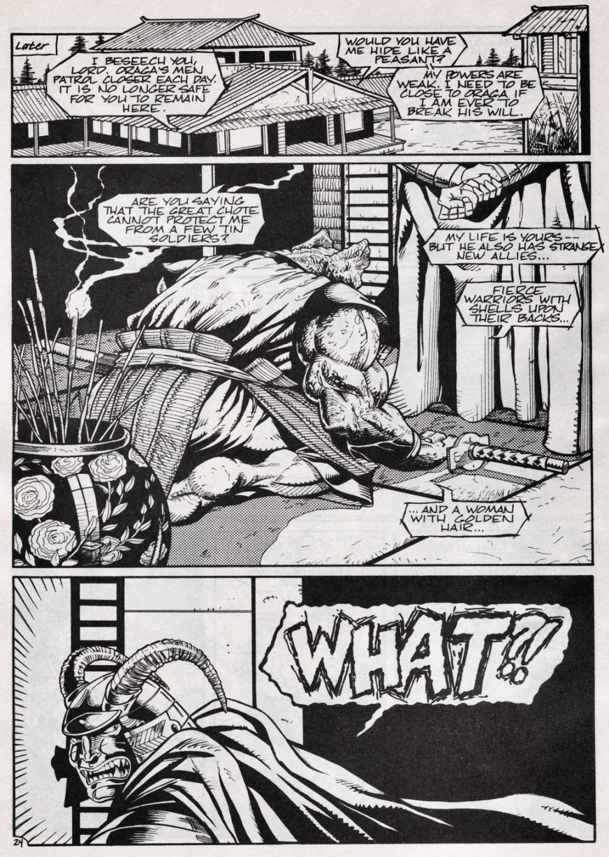 Teenage Mutant Ninja Turtles (1984) Issue #46 #46 - English 24