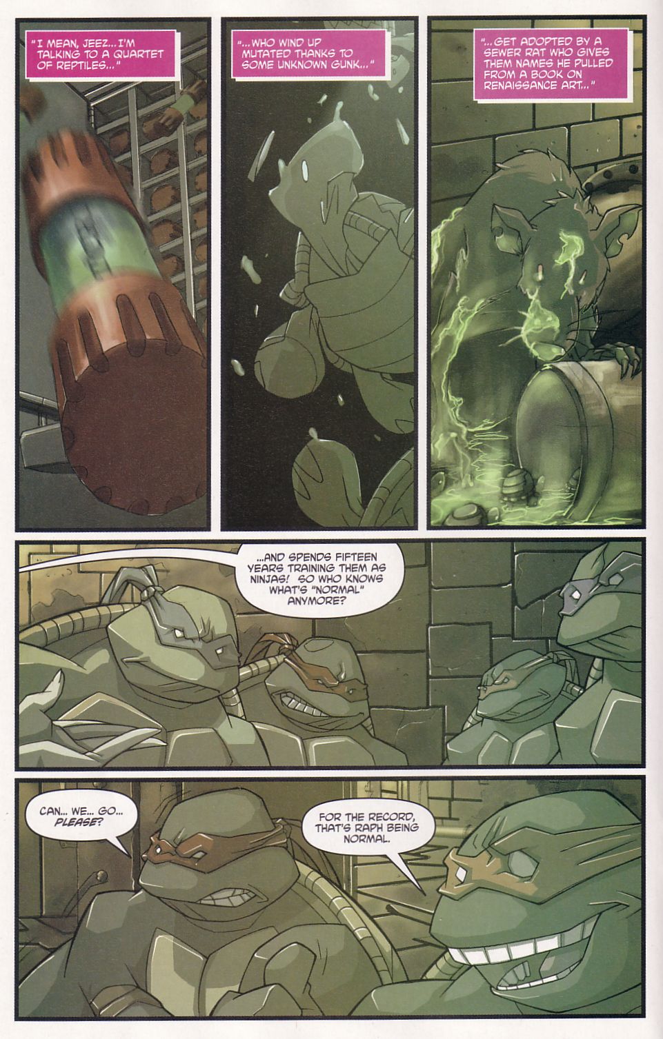 Teenage Mutant Ninja Turtles (2003) Issue #3 #3 - English 10