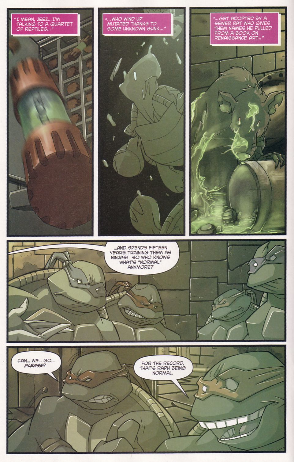 Read online Teenage Mutant Ninja Turtles (2003) comic -  Issue #3 - 10