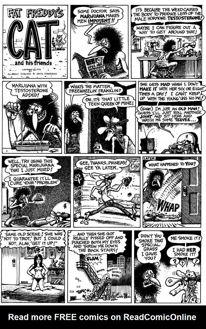 Read online The Fabulous Furry Freak Brothers comic -  Issue #4 - 47