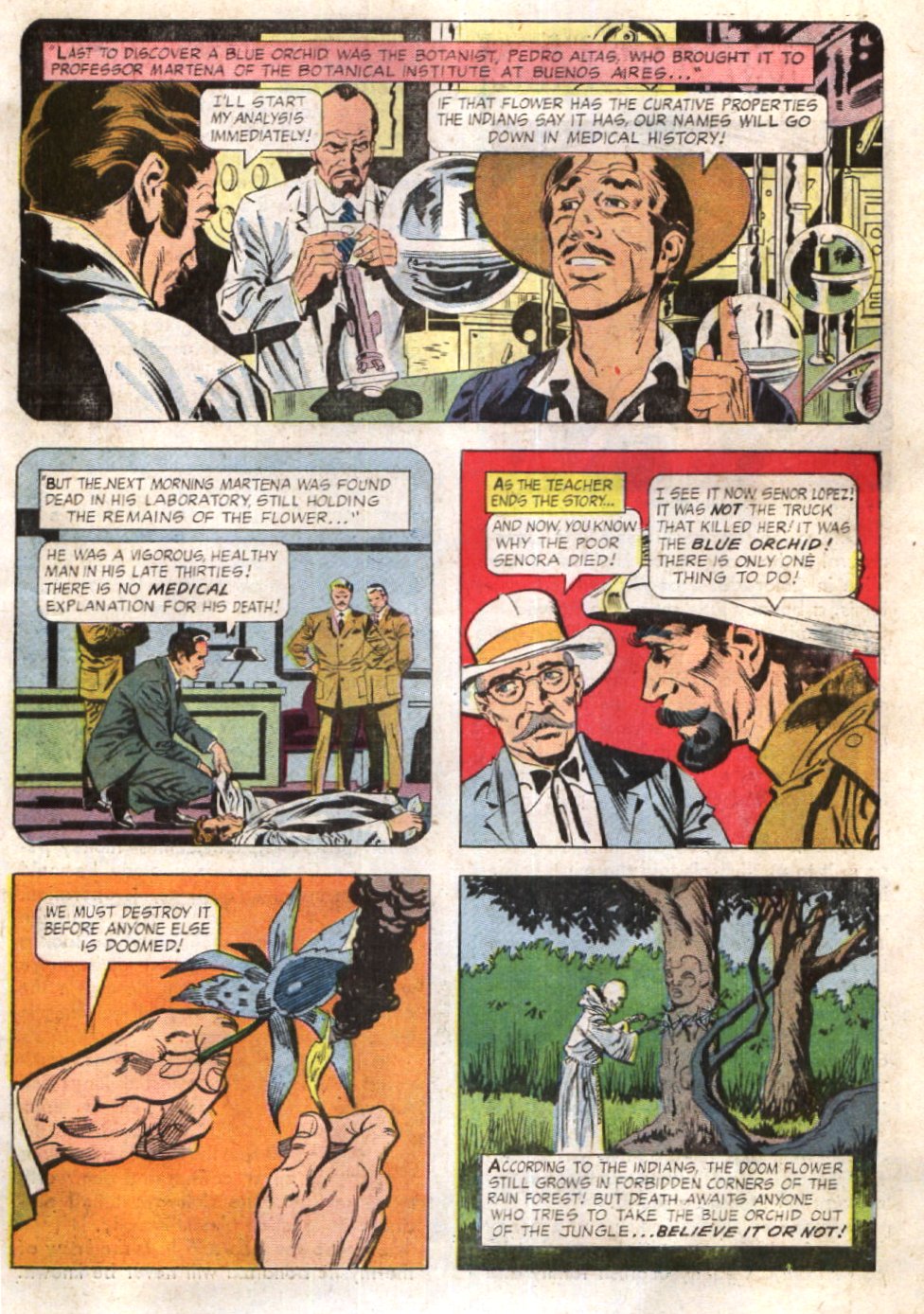 Read online Ripley's Believe it or Not! (1965) comic -  Issue #17 - 11