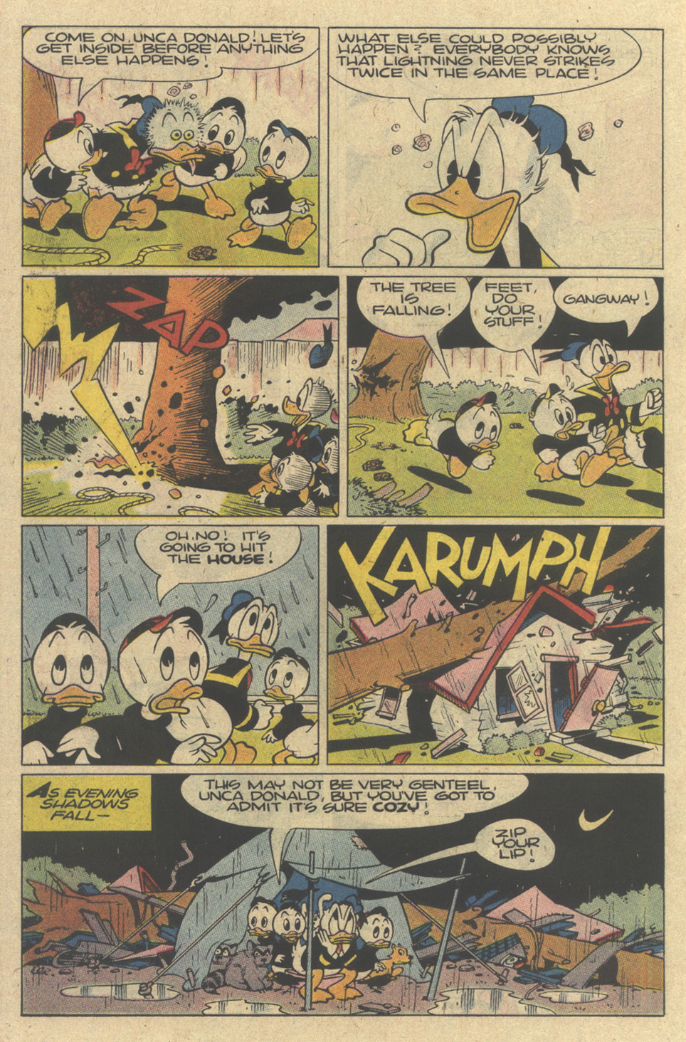 Read online Walt Disney's Donald Duck (1952) comic -  Issue #271 - 22