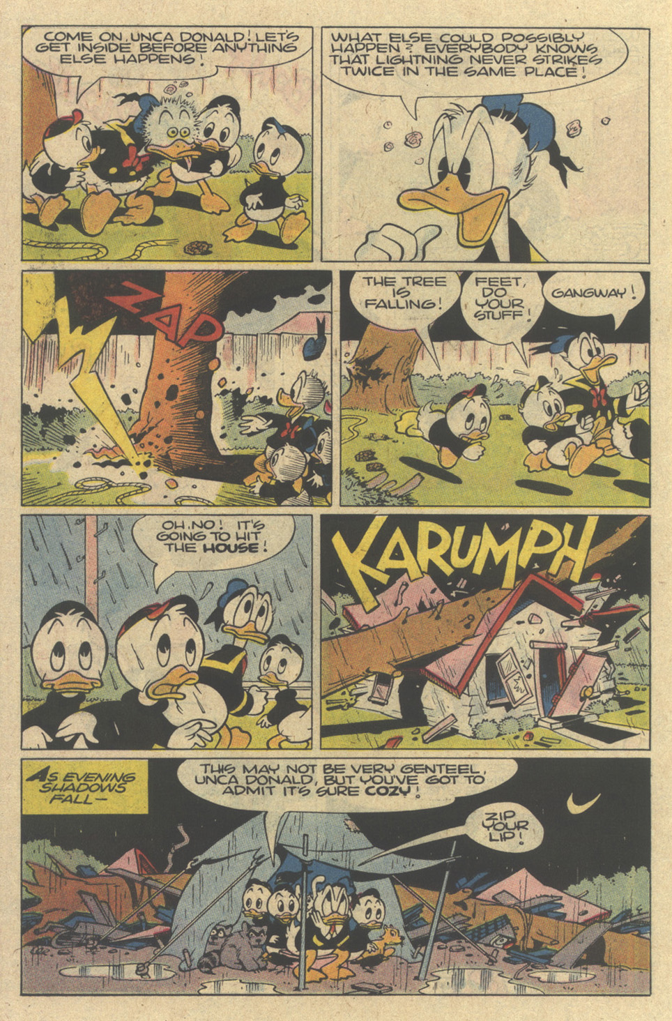 Walt Disney's Donald Duck (1952) issue 271 - Page 22