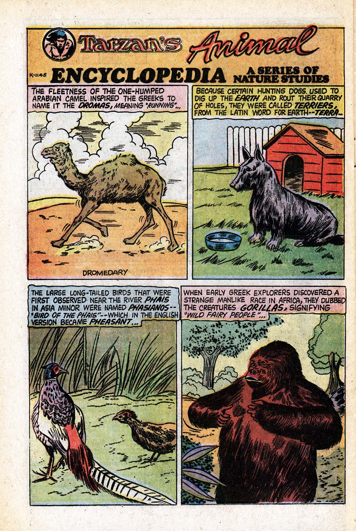 Read online Korak, Son of Tarzan (1972) comic -  Issue #55 - 18