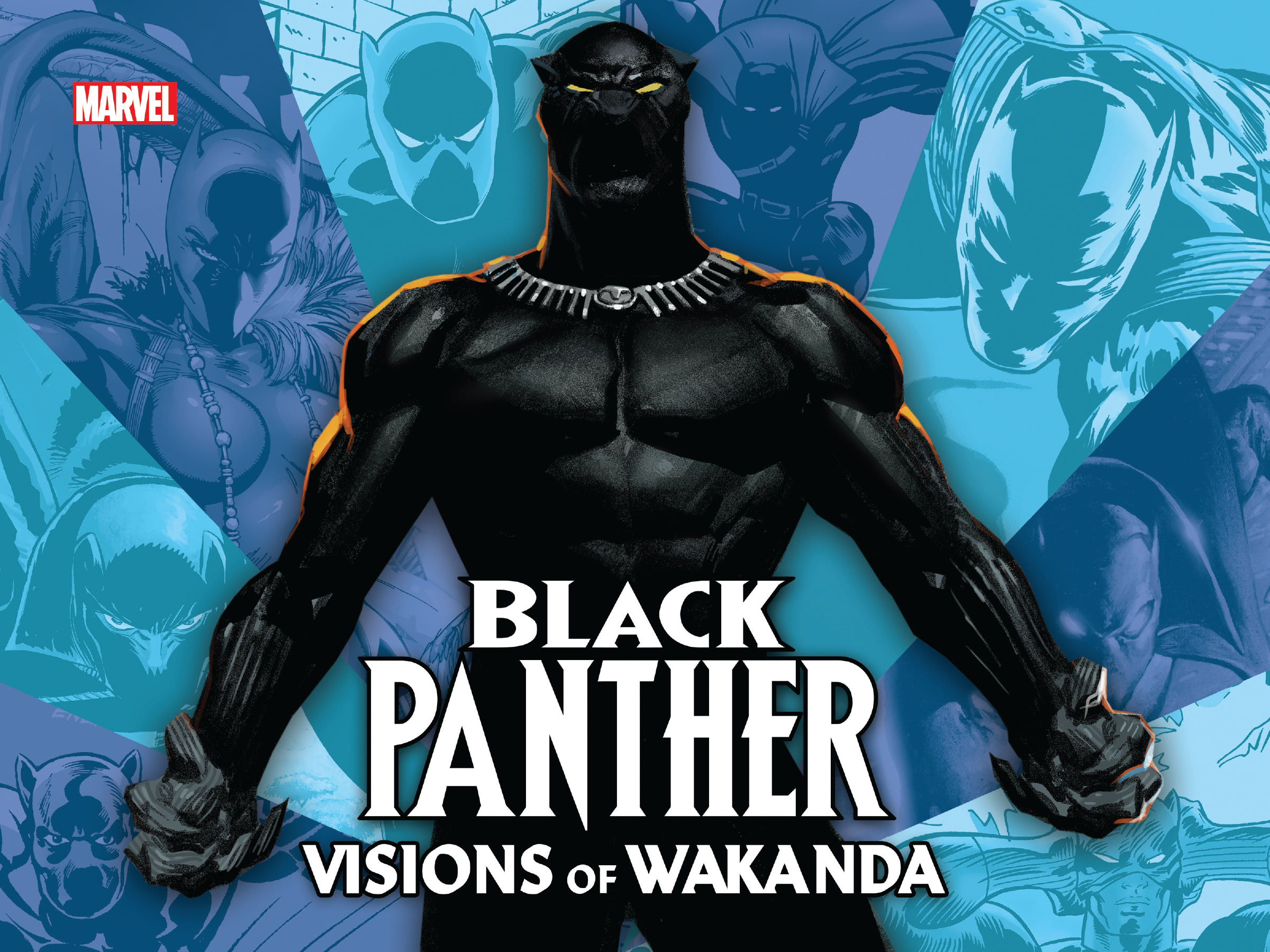 Read online Black Panther: Visions of Wakanda comic -  Issue # TPB (Part 1) - 1