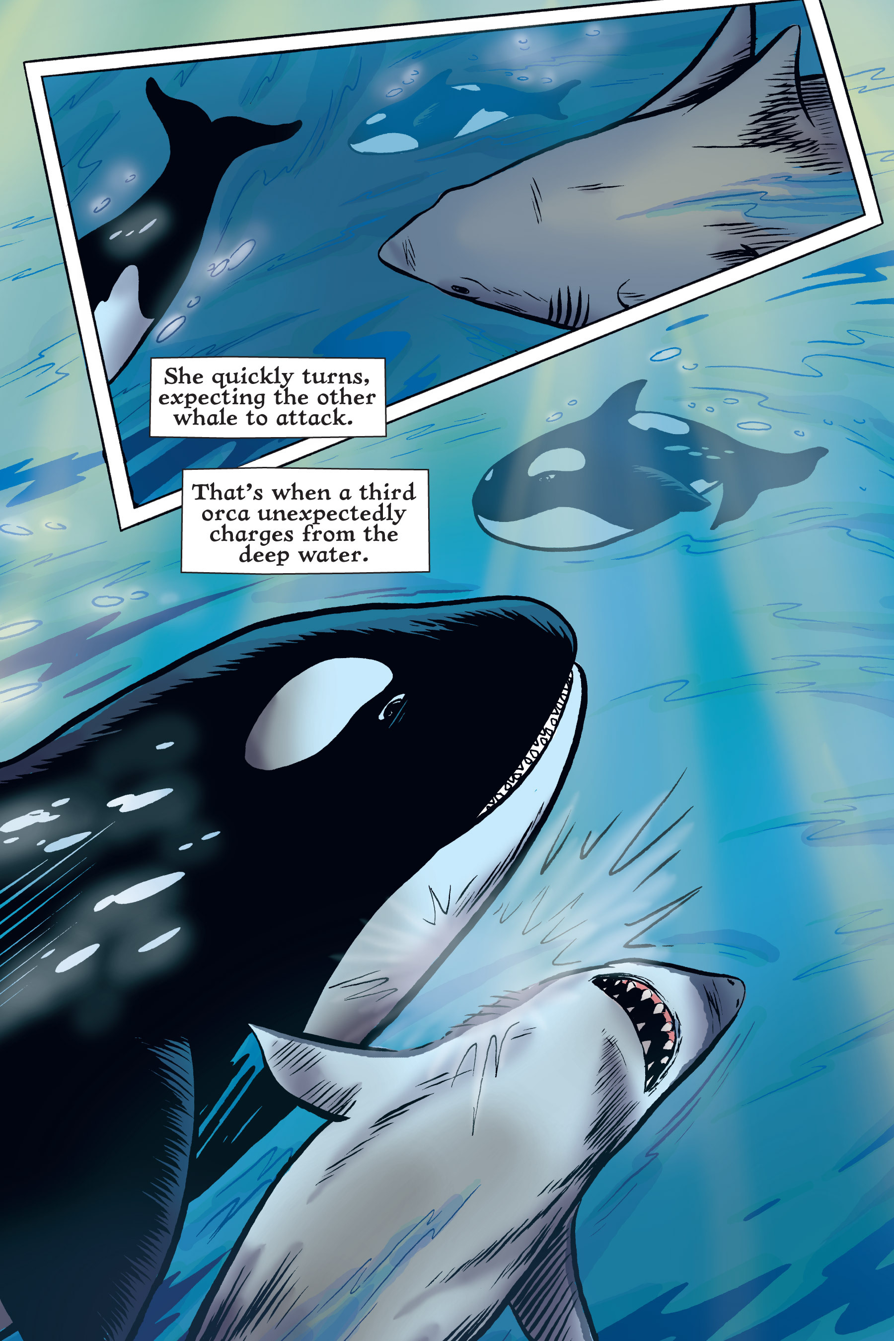 Read online Xoc: Journey of a Great White comic -  Issue # TPB - 44