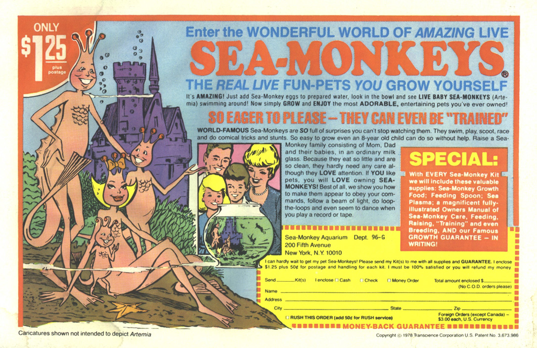 Read online Walt Disney's Comics and Stories comic -  Issue #480 - 36