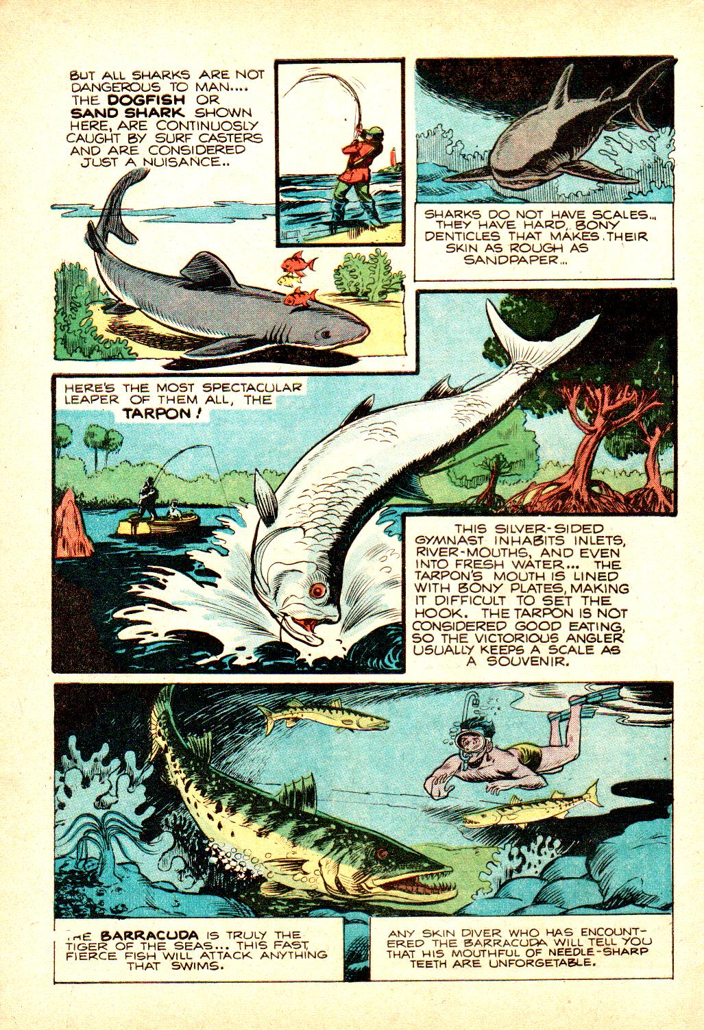Read online Little Archie In Animal Land comic -  Issue #19 - 30