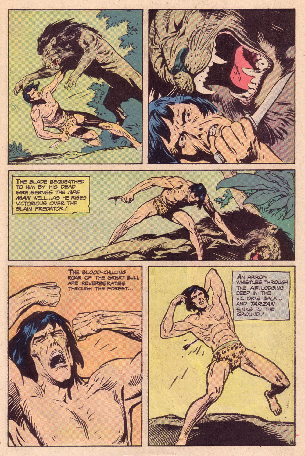 Read online Tarzan (1972) comic -  Issue #245 - 17