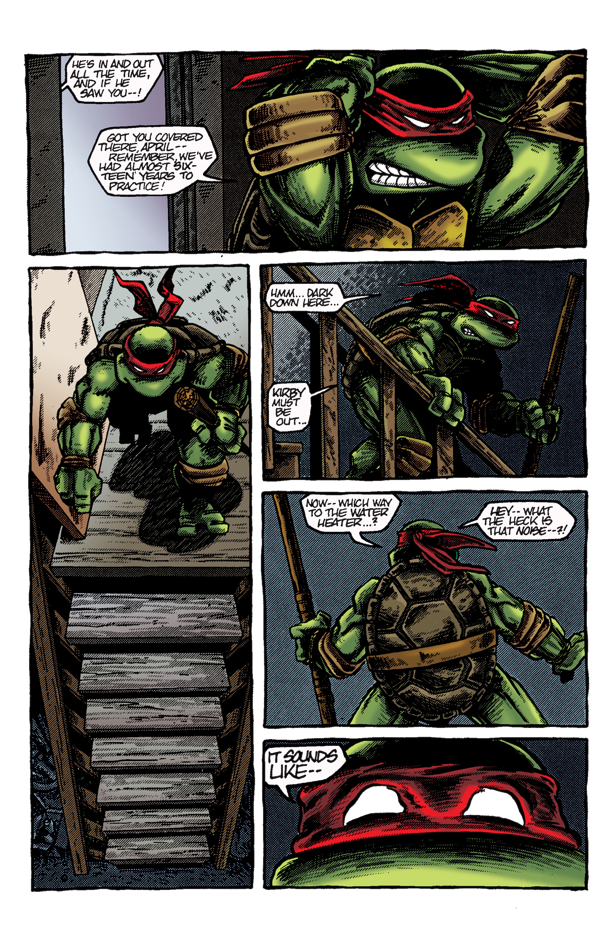Read online TMNT: Best of Raphael comic -  Issue # TPB - 5