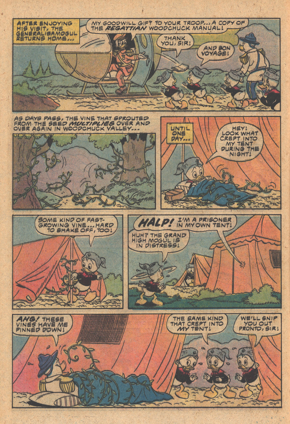 Read online Huey, Dewey, and Louie Junior Woodchucks comic -  Issue #63 - 16